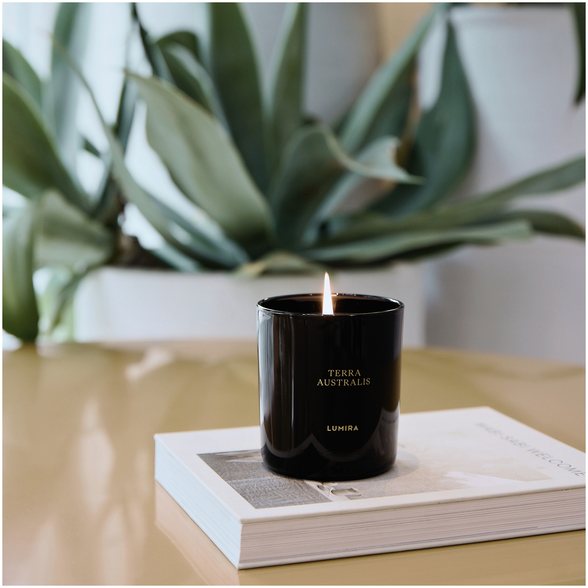 LUMIRA Cypress de Provence Black Candle 10.5 oz | Dermstore