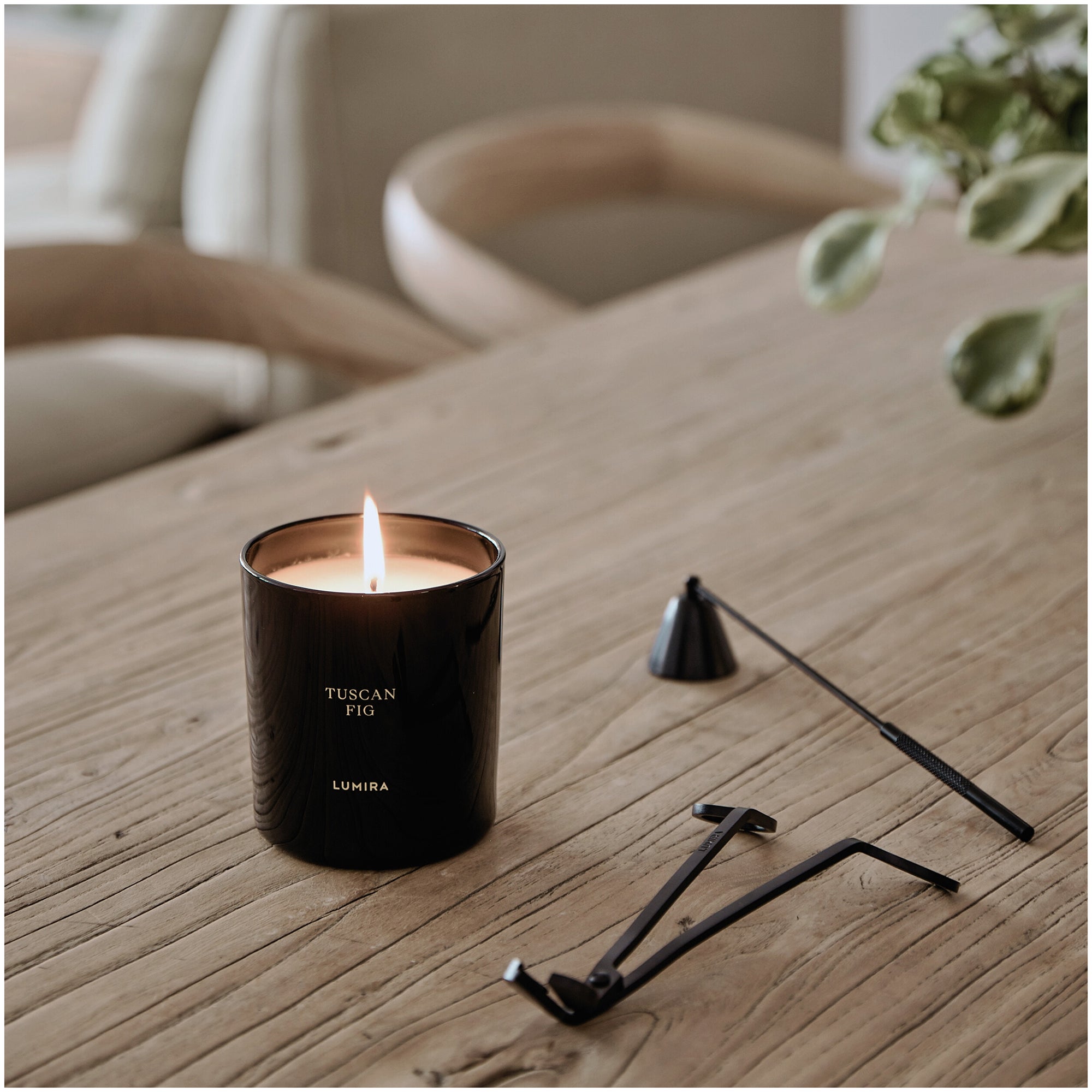 LUMIRA Tuscan Fig Black Candle 10.5 oz | Dermstore