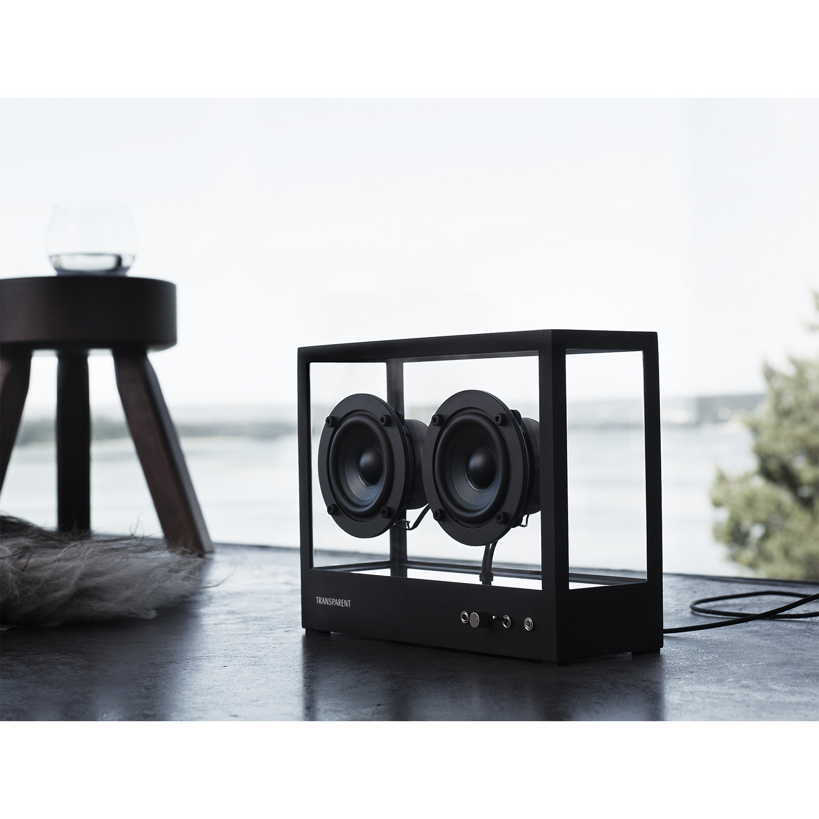 Transparent Small Speaker - Black | Coggles