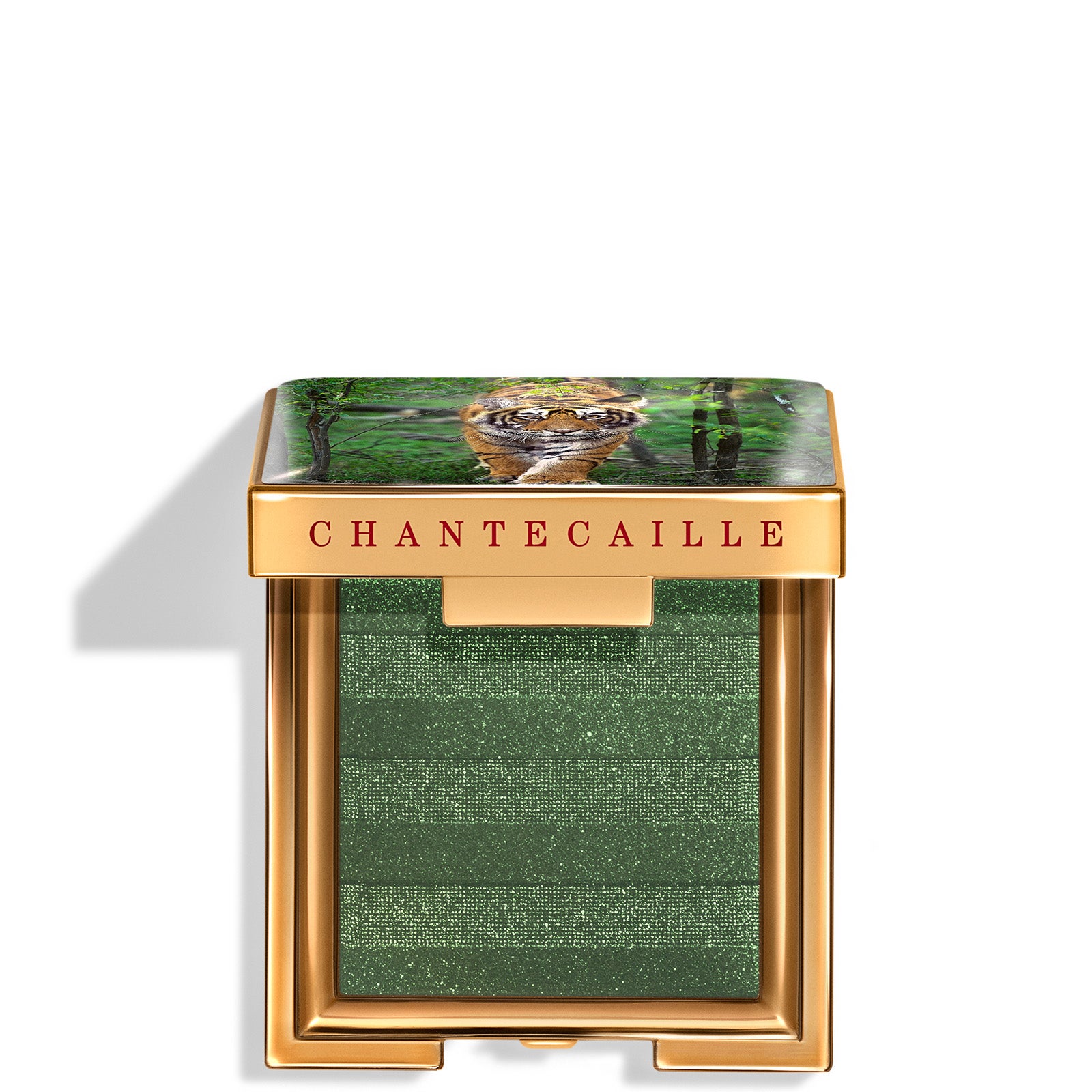 Chantecaille Luminescent Eye 2.5g (Various Shades) | Cult Beauty