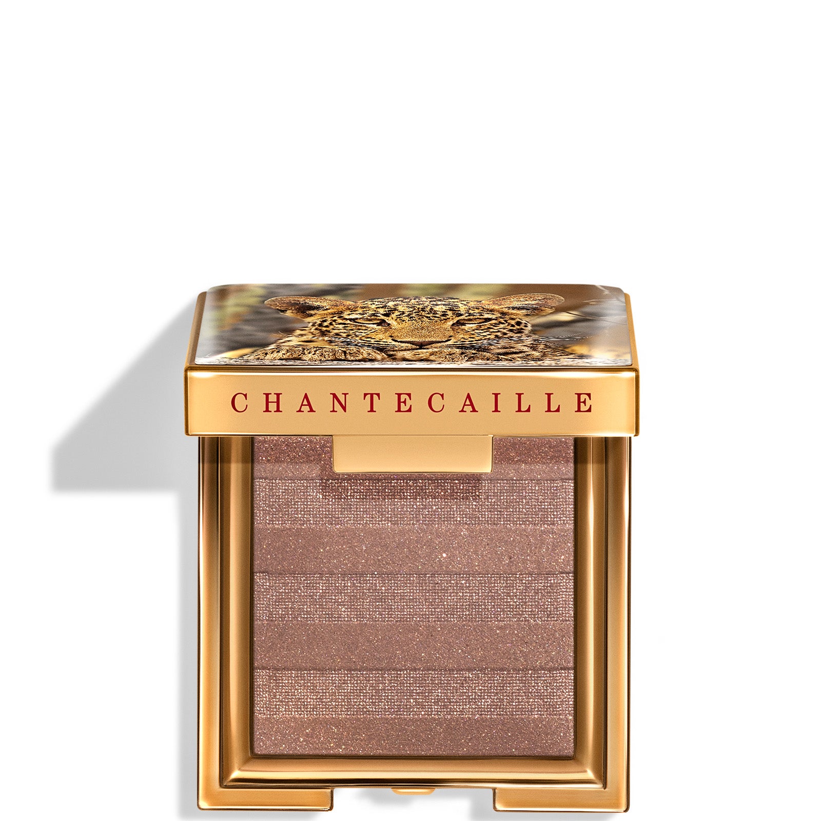 Chantecaille Luminescent Eye 2.5g (Various Shades) | LOOKFANTASTIC