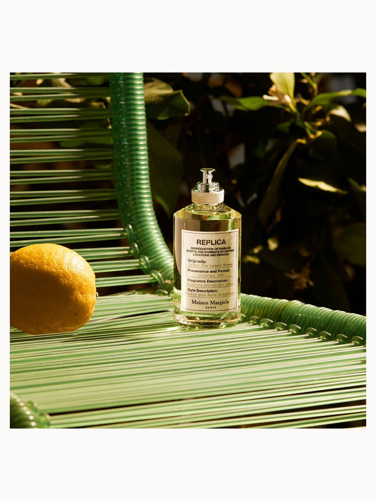 Maison Margiela Replica Under The Lemon Tree