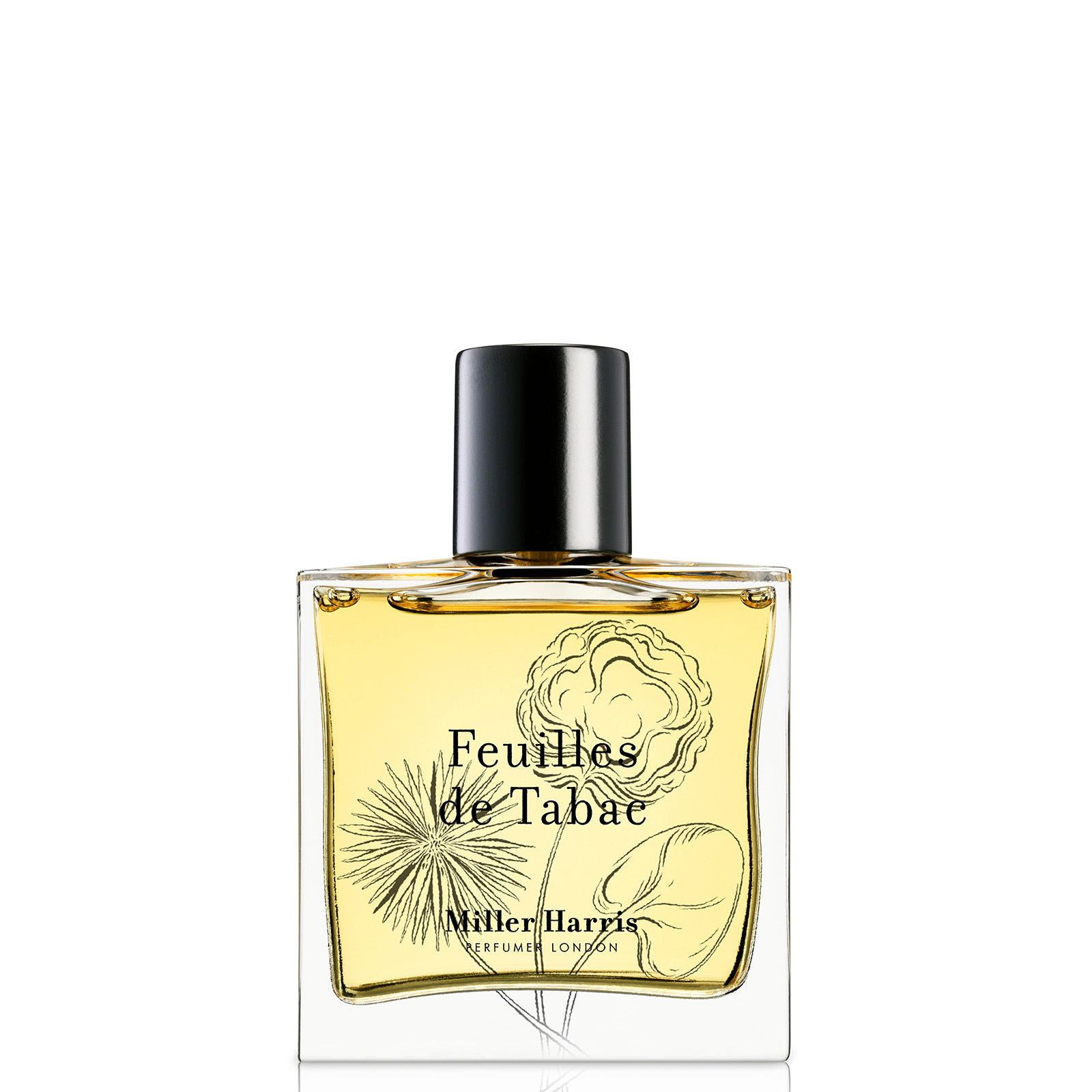 Miller Harris Tea Tonique Eau de Parfum 50ml Online Sale | Cosmetics