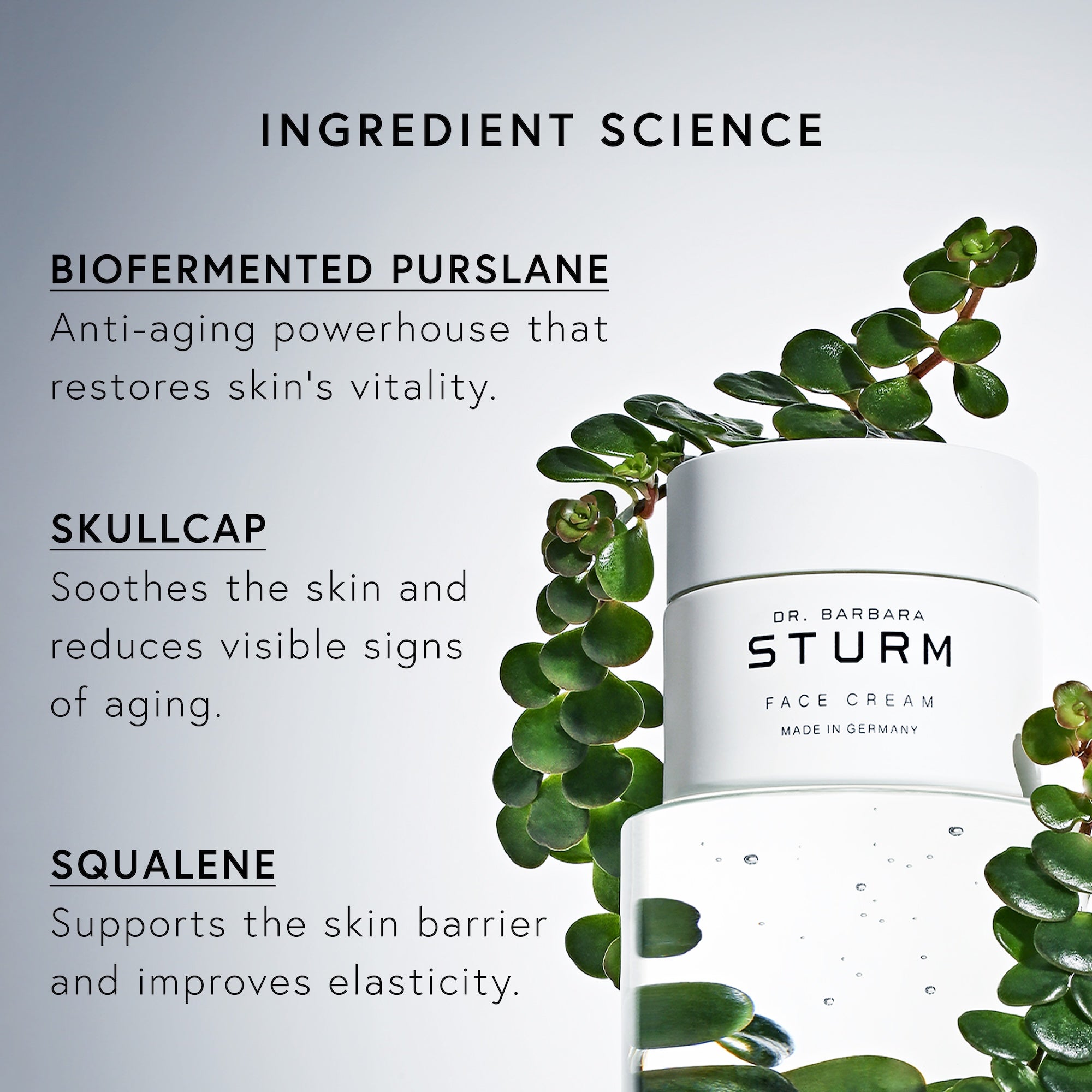 Dr. Barbara Sturm Face Cream 50mL | Dermstore
