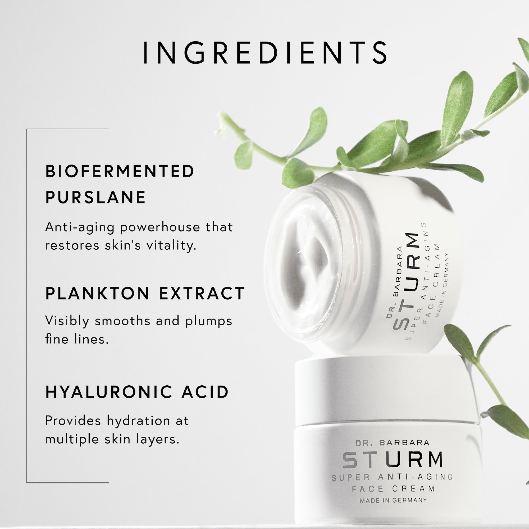 Dr. Barbara Sturm Super Anti-Aging Night Cream 50mL | Dermstore