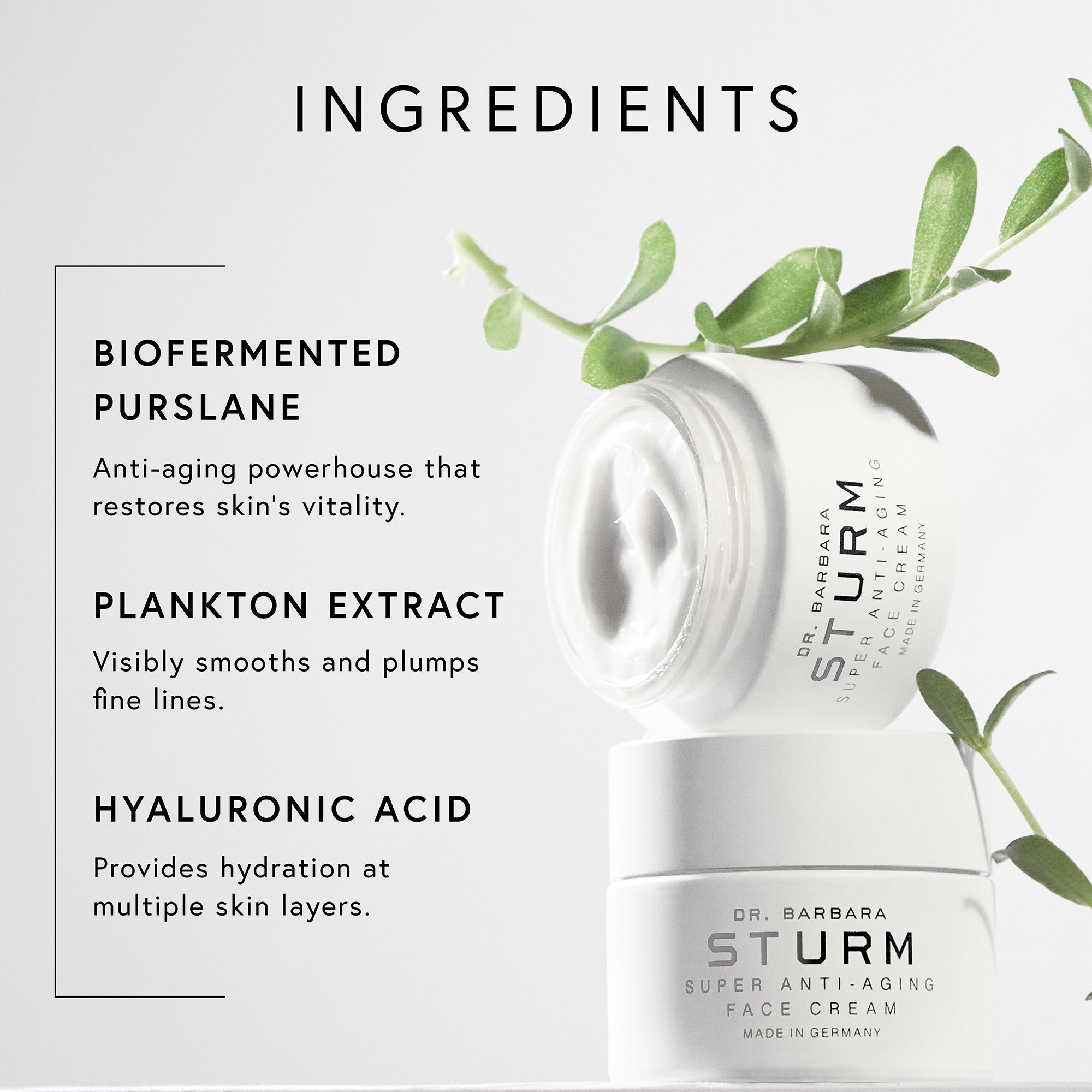 Dr. Barbara Sturm Super Anti-Aging Face Cream 50ml | Cult Beauty