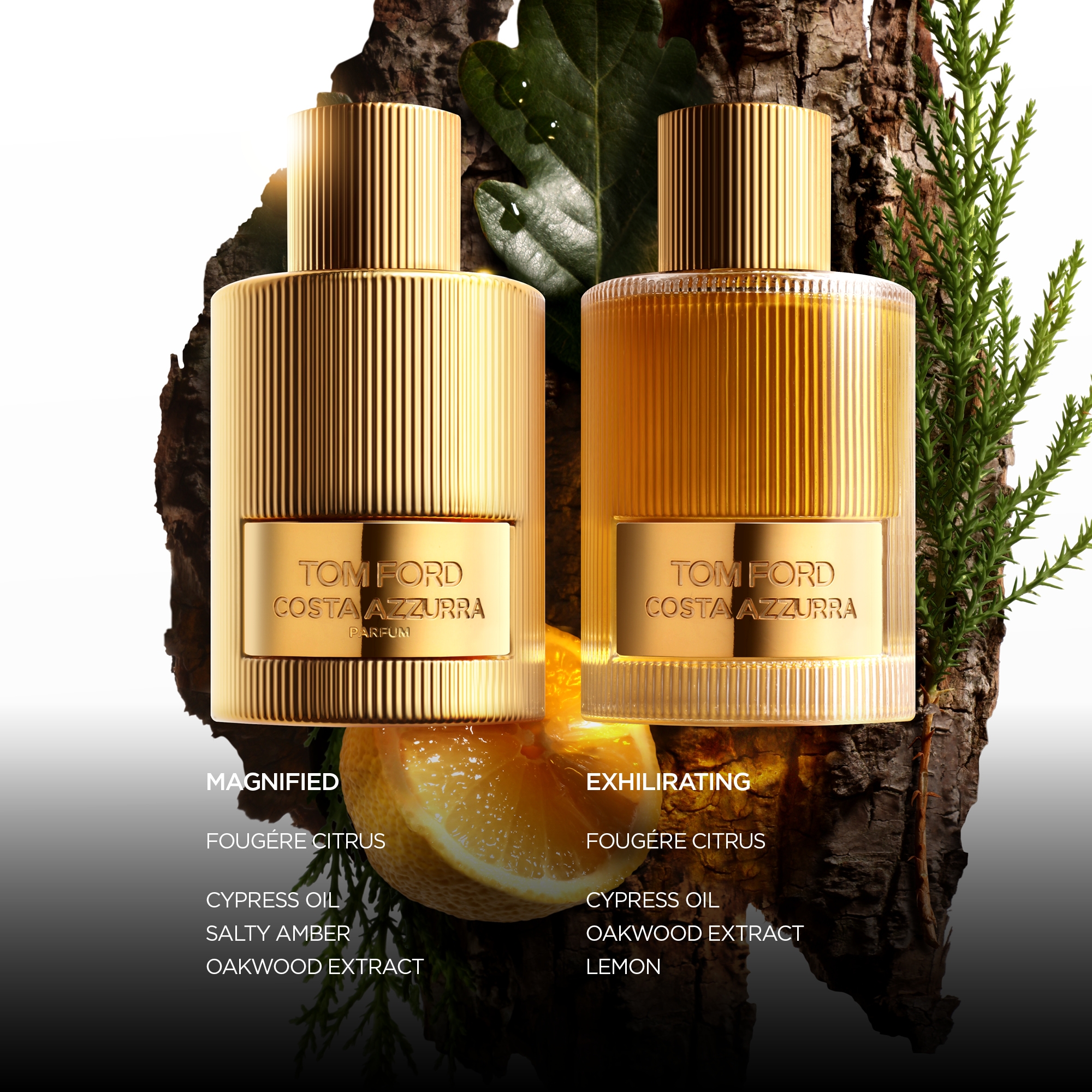TOMFORD　100ml TOMFORD　100ml