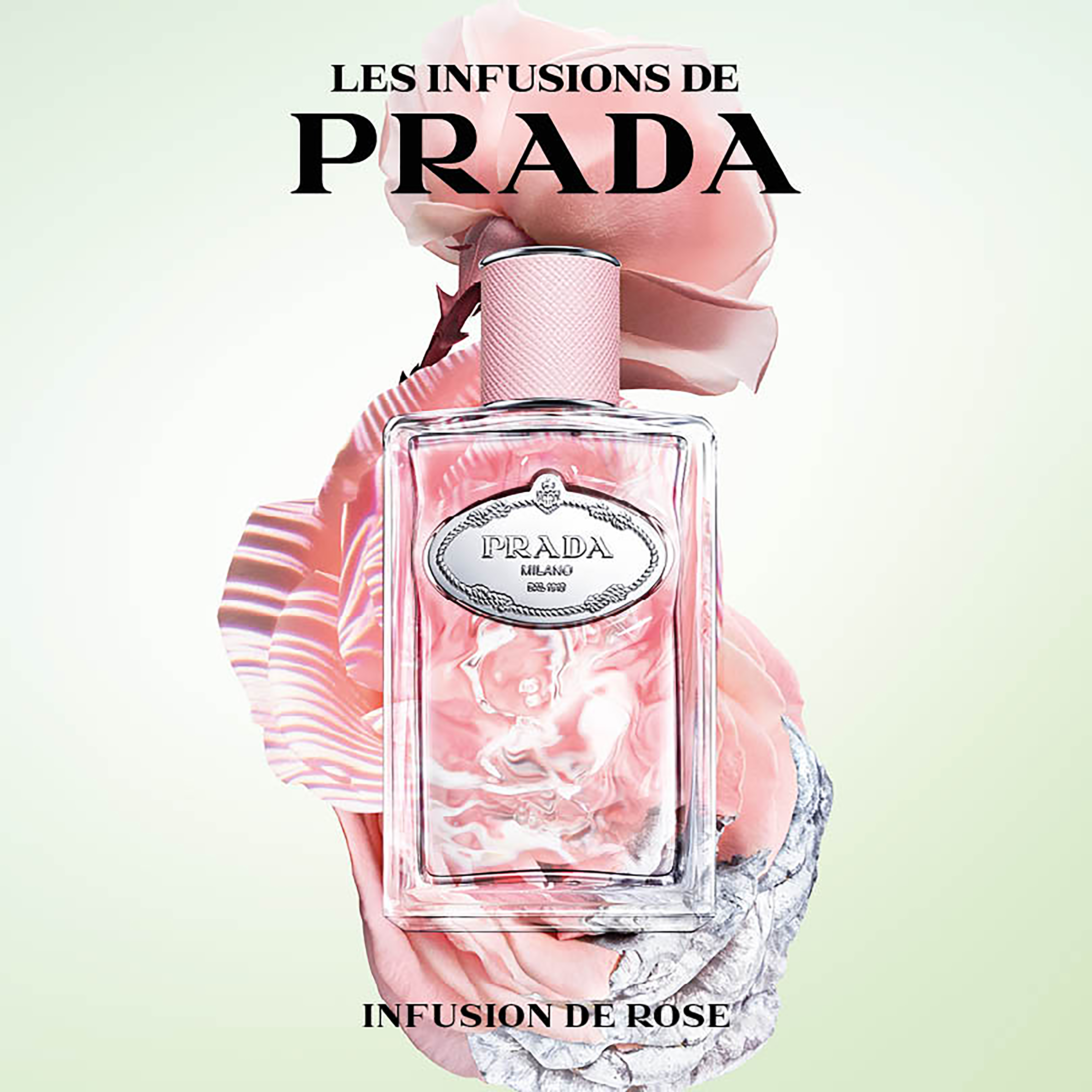 PRADA Infusion de Rose 100ml オードパルファム Amazon.com : Prada Infusion De Rose Women 3.4 oz EDP Spray