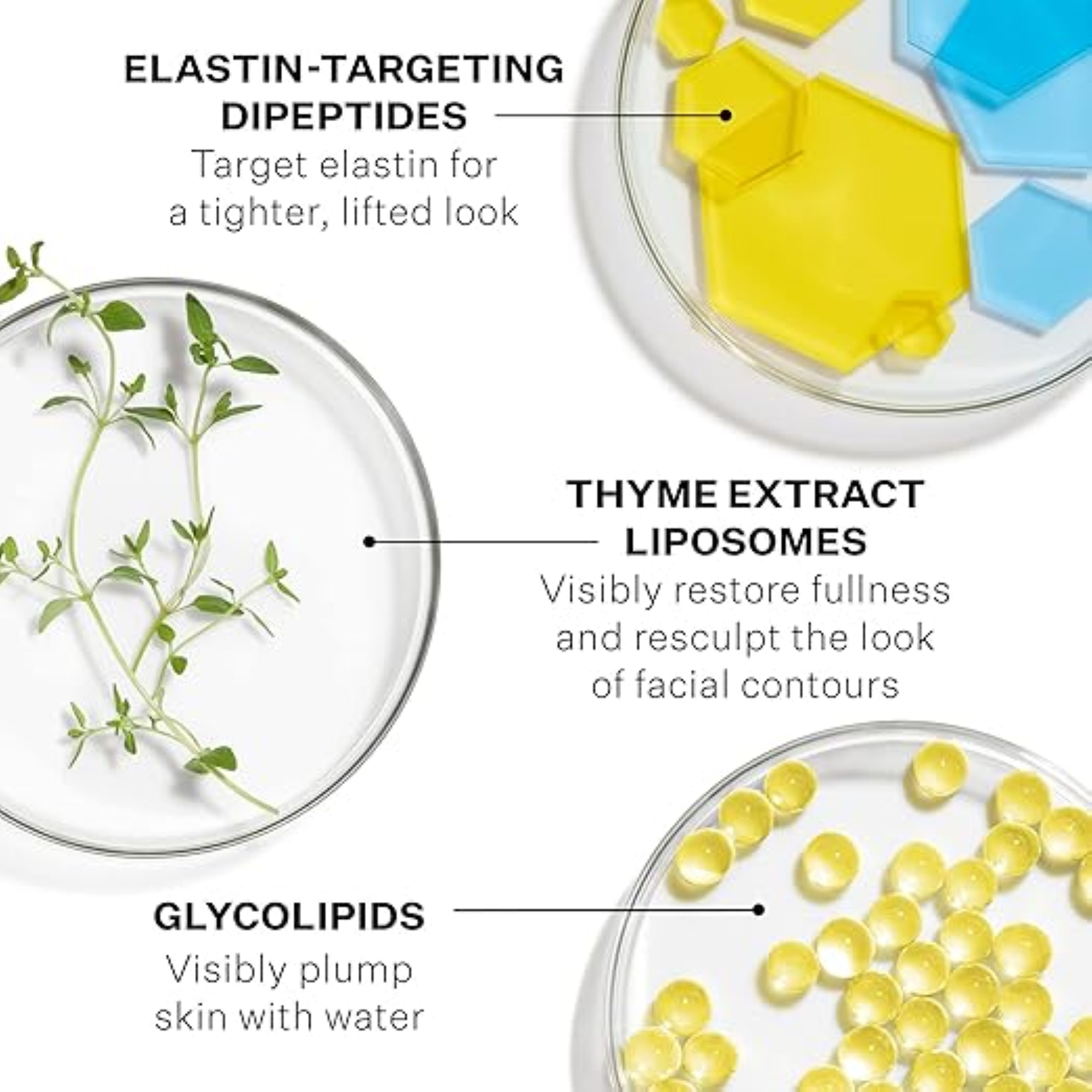 StriVectin Contour Restore Tightening & Sculpting Moisturizing