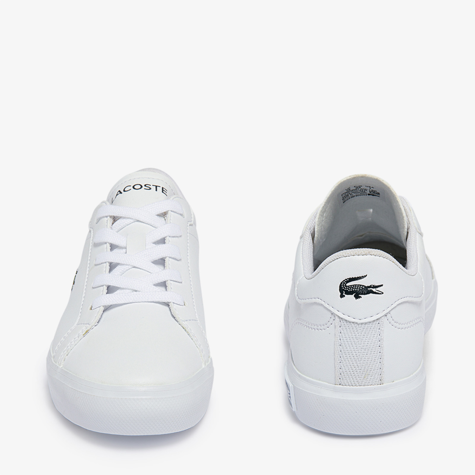 Lerond caw cheap lacoste