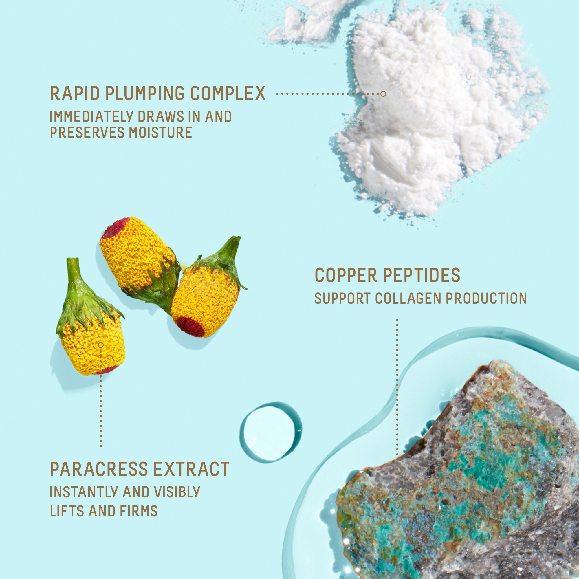 Squalane + Copper Peptide Rapid Plumping Serum | Biossance