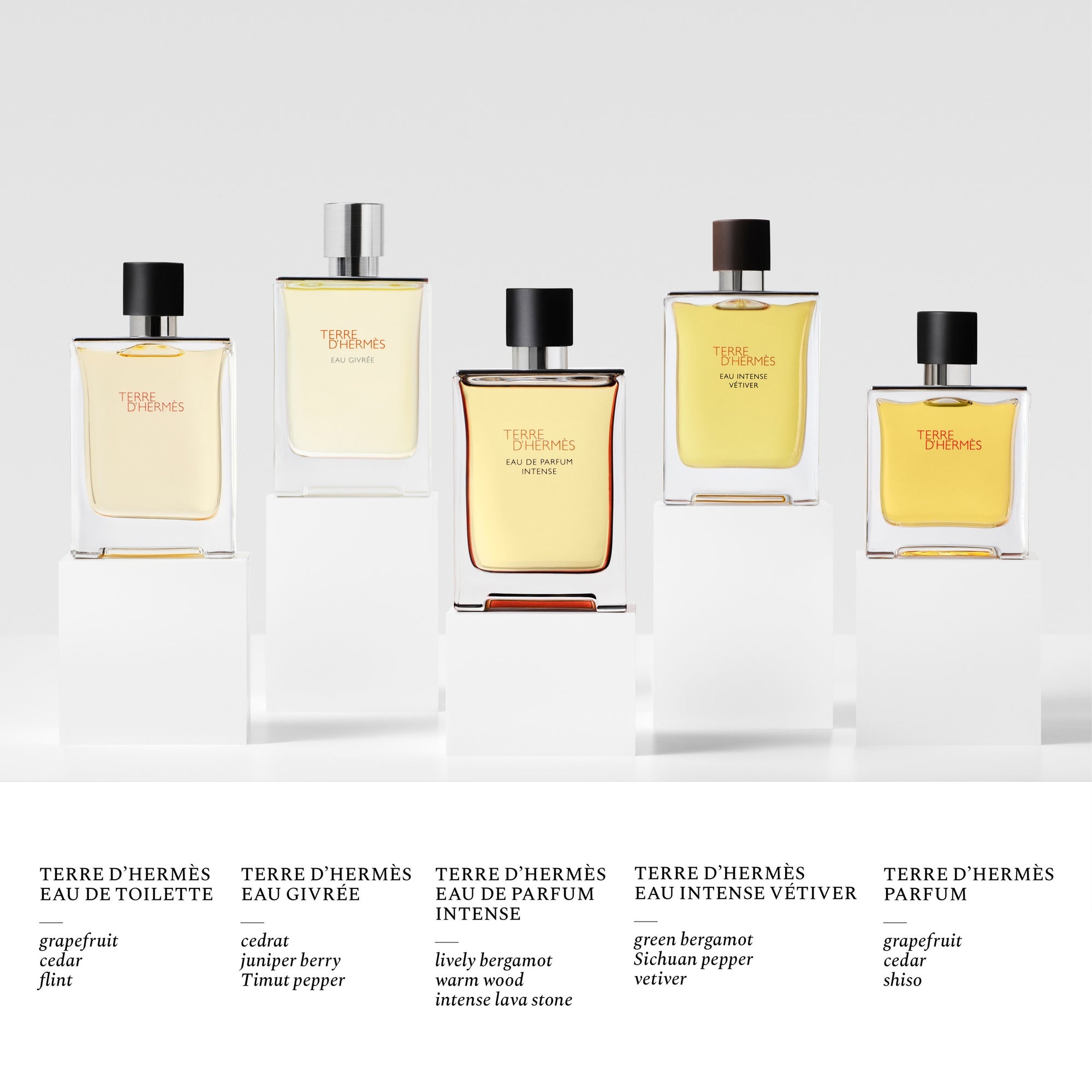 Hermès Terre d'Hermès Eau Intense Vétiver Eau de Parfum Natural