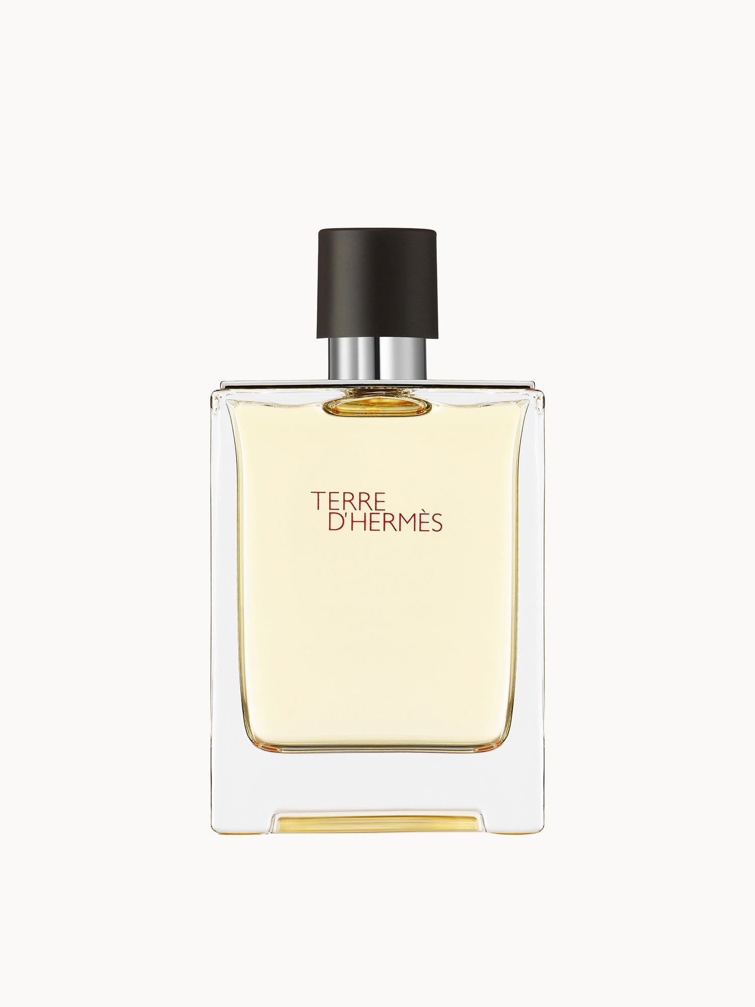 Hermès Terre d'Hermès Eau de Toilette 100ml