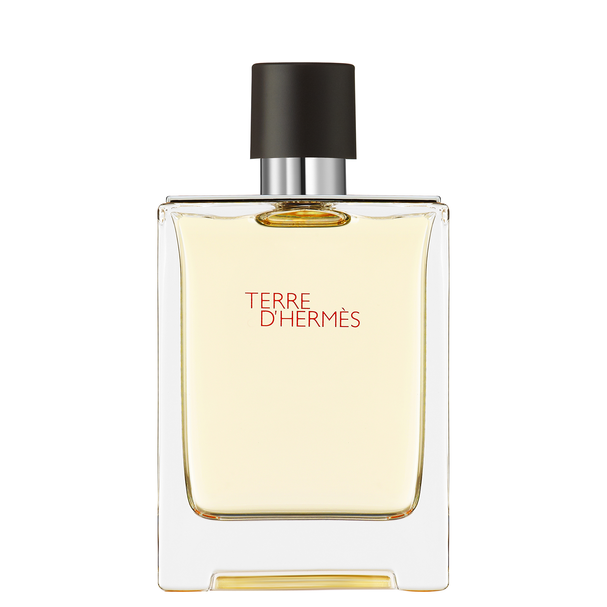 cult Hermès Terre d'Hermès Eau de Toilette 100ml