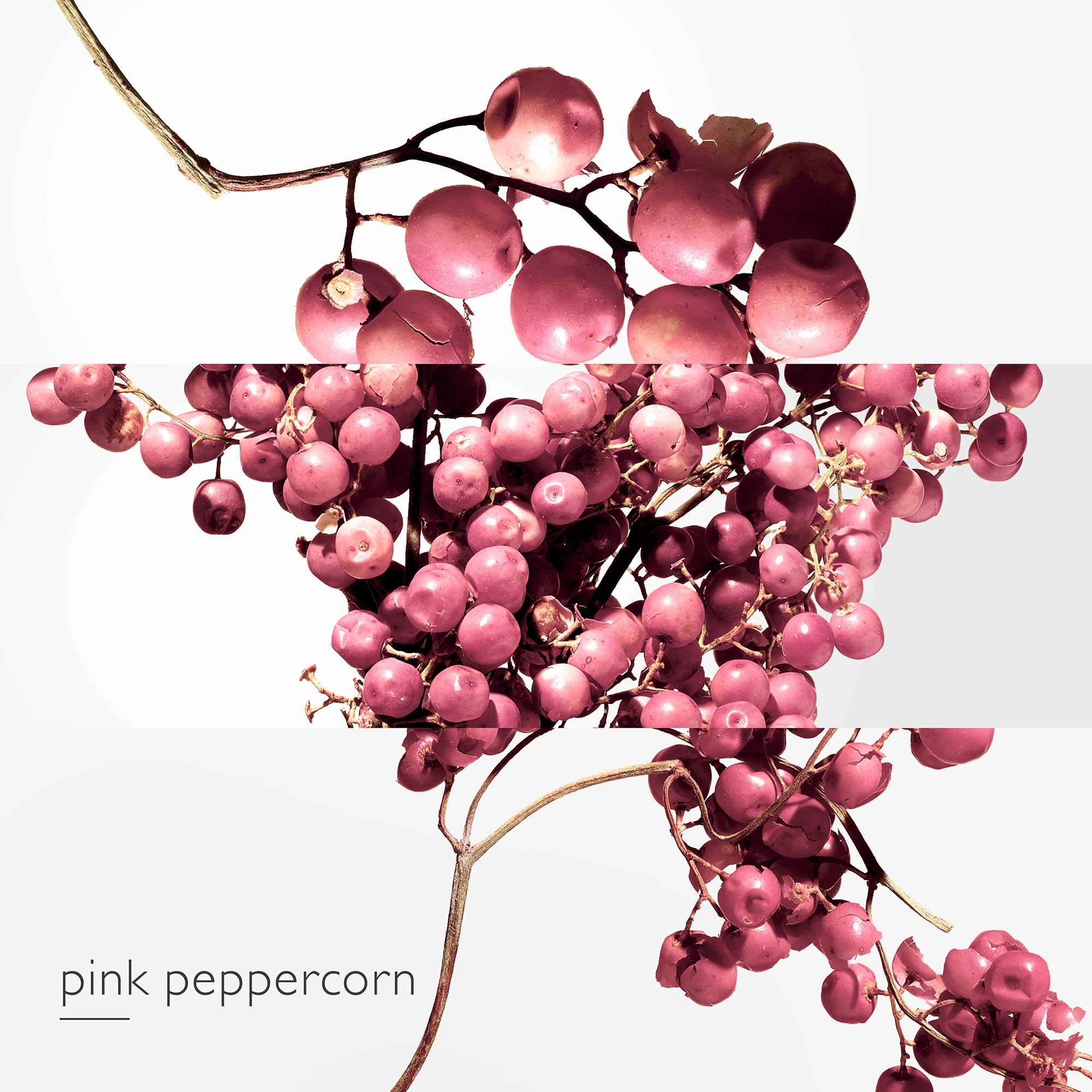 Hermès Twilly d'Hermès Eau Poivrée Eau de Parfum 30ml | Cult Beauty