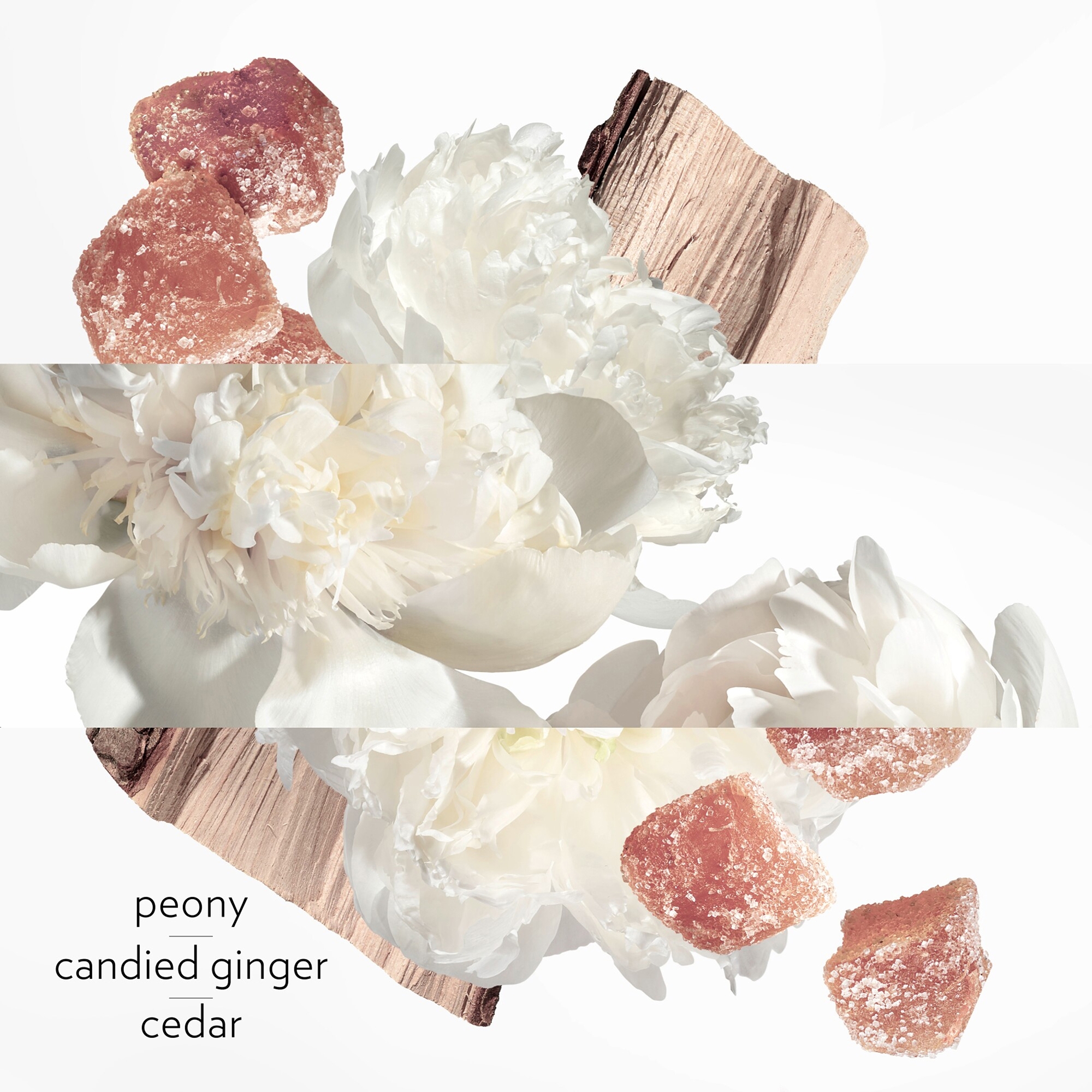 Yuki M様専用 Twilly dHermès Eau Ginger 85ml