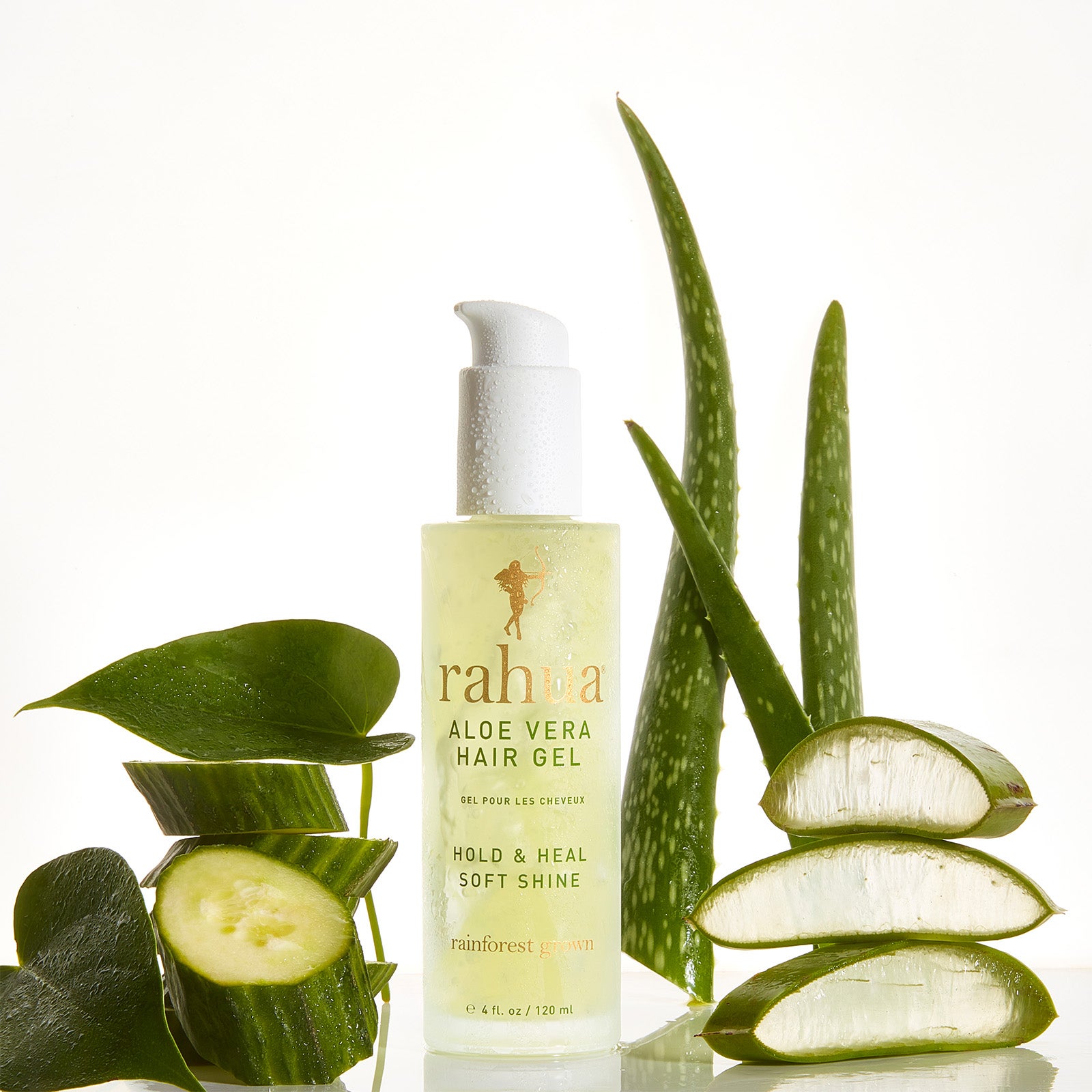 aloe vera hybrid #ES41 Aloe 