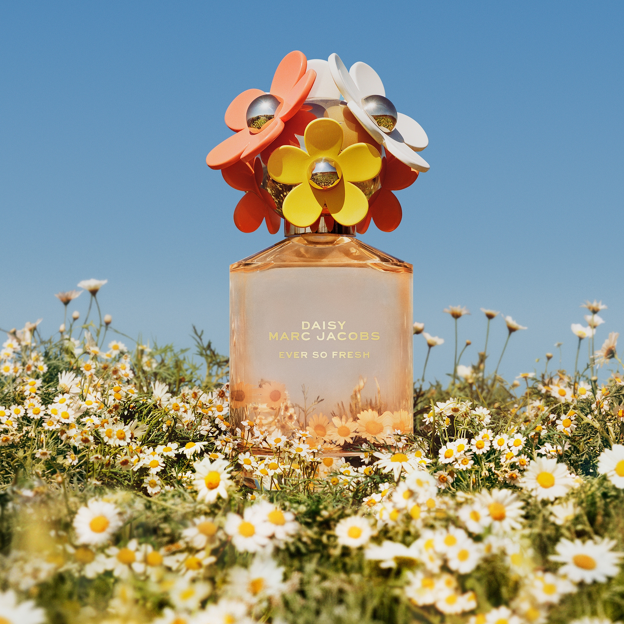 Daisy Eau so Fresh
