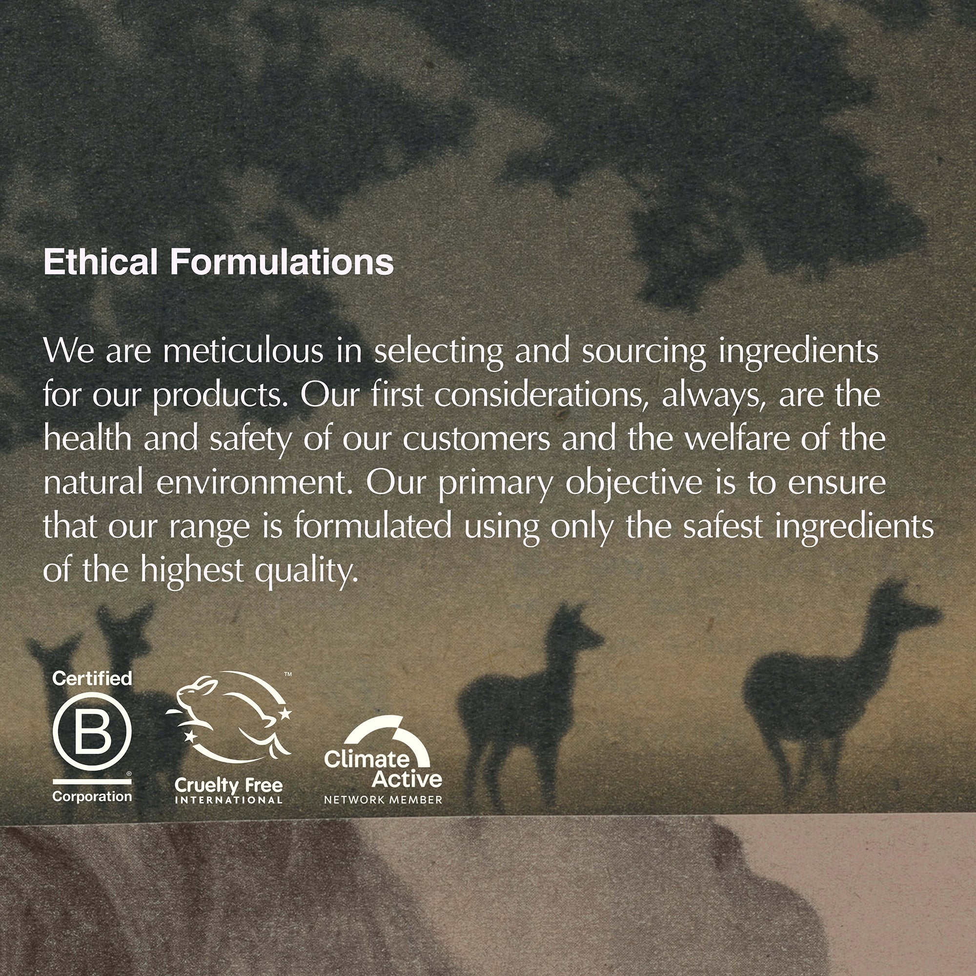 Aesop Eidesis Eau de Parfum 50ml | Dermstore