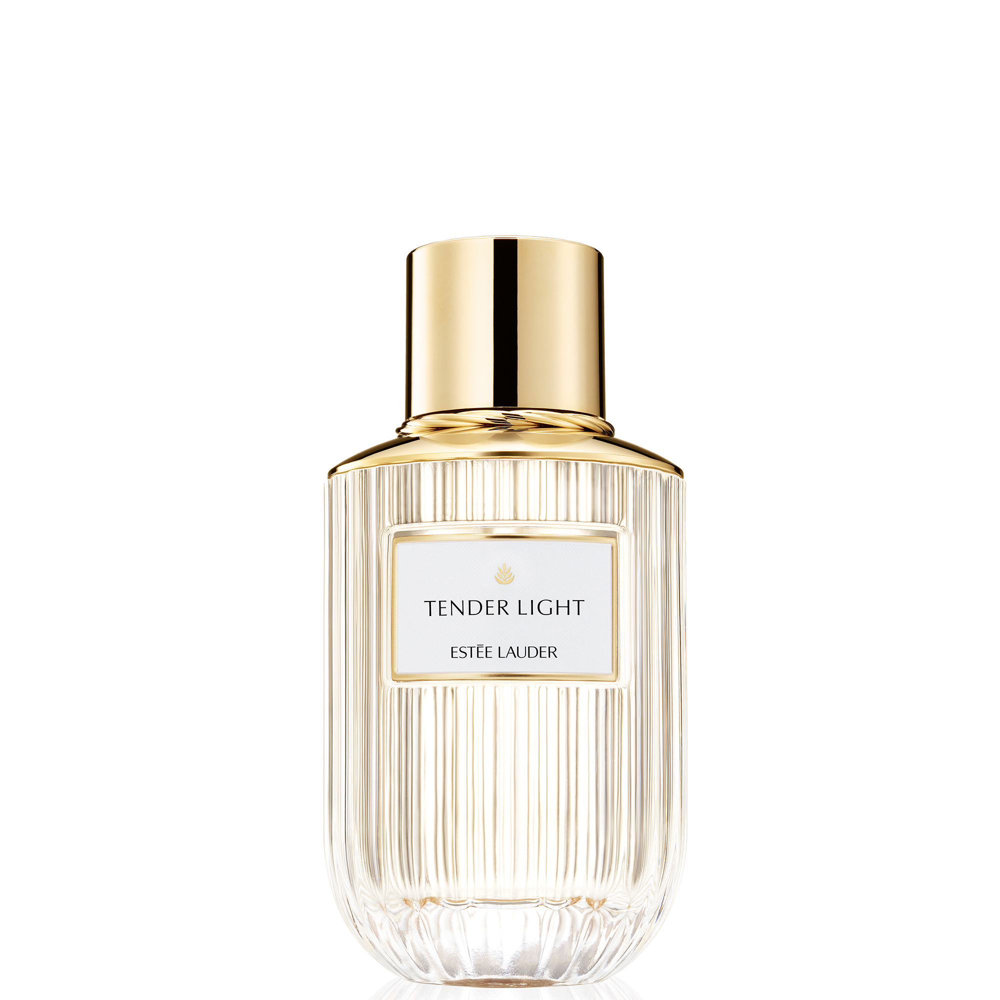 ESTEE LAUDER TENDER LIGHT 香水 100ml Buy Estée Lauder Tender Light Eau de Parfum Spray 100ml from the