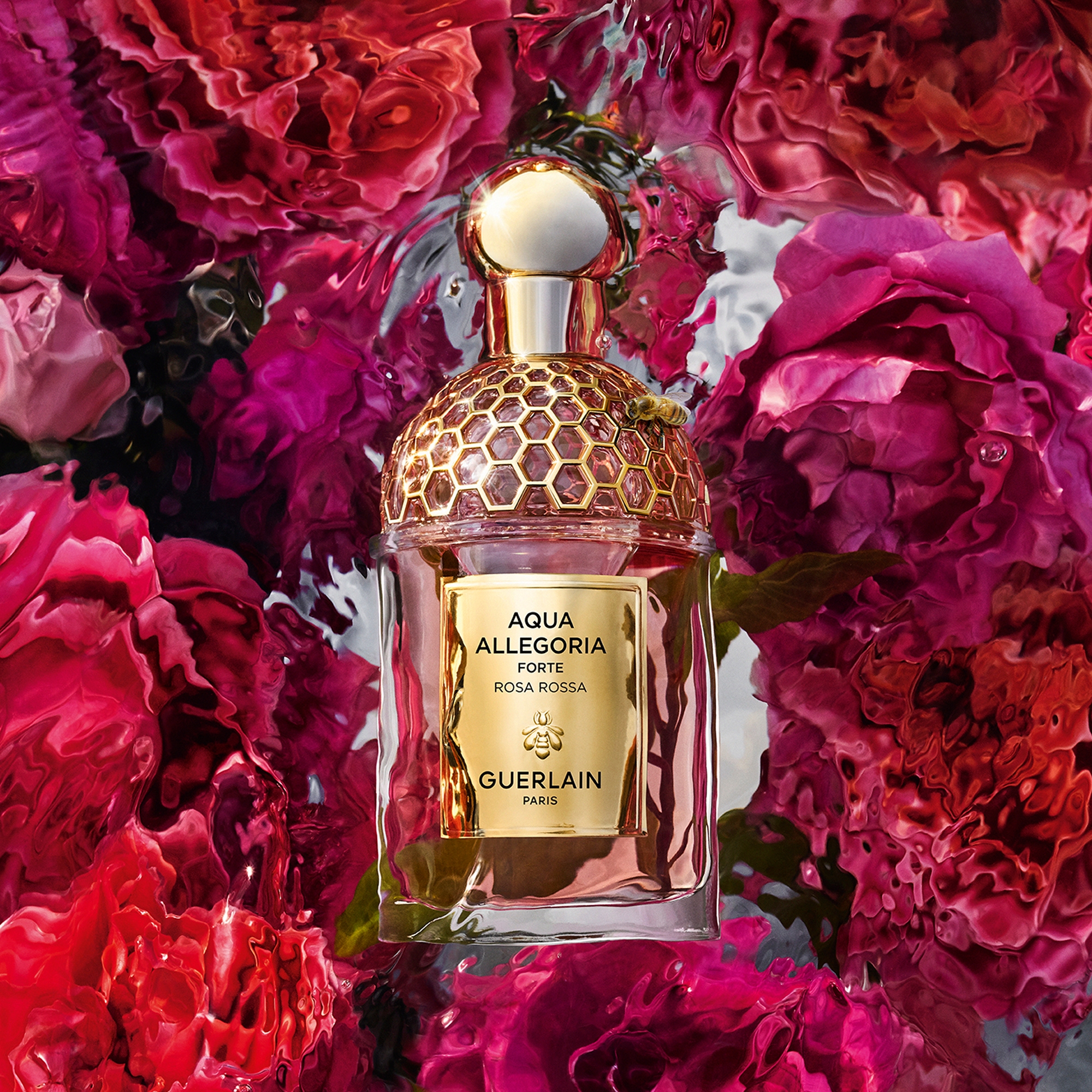 香水(女性用) Guerlain Forte Rosa Rossa 75ml Amazon.com : Guerlain - Aqua Allegoria Forte Rosa Rossa