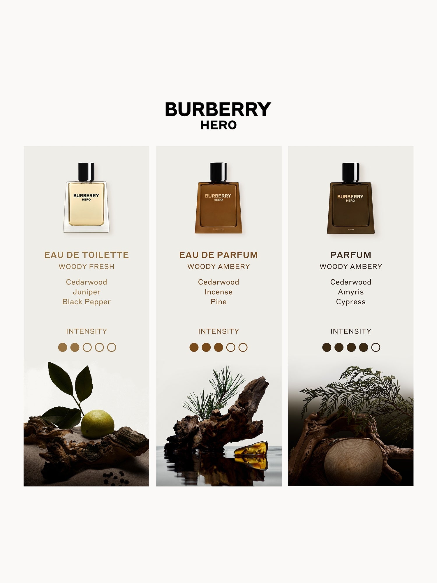 Burberry Hero Eau de Parfum for Men 100ml | LOOKFANTASTIC