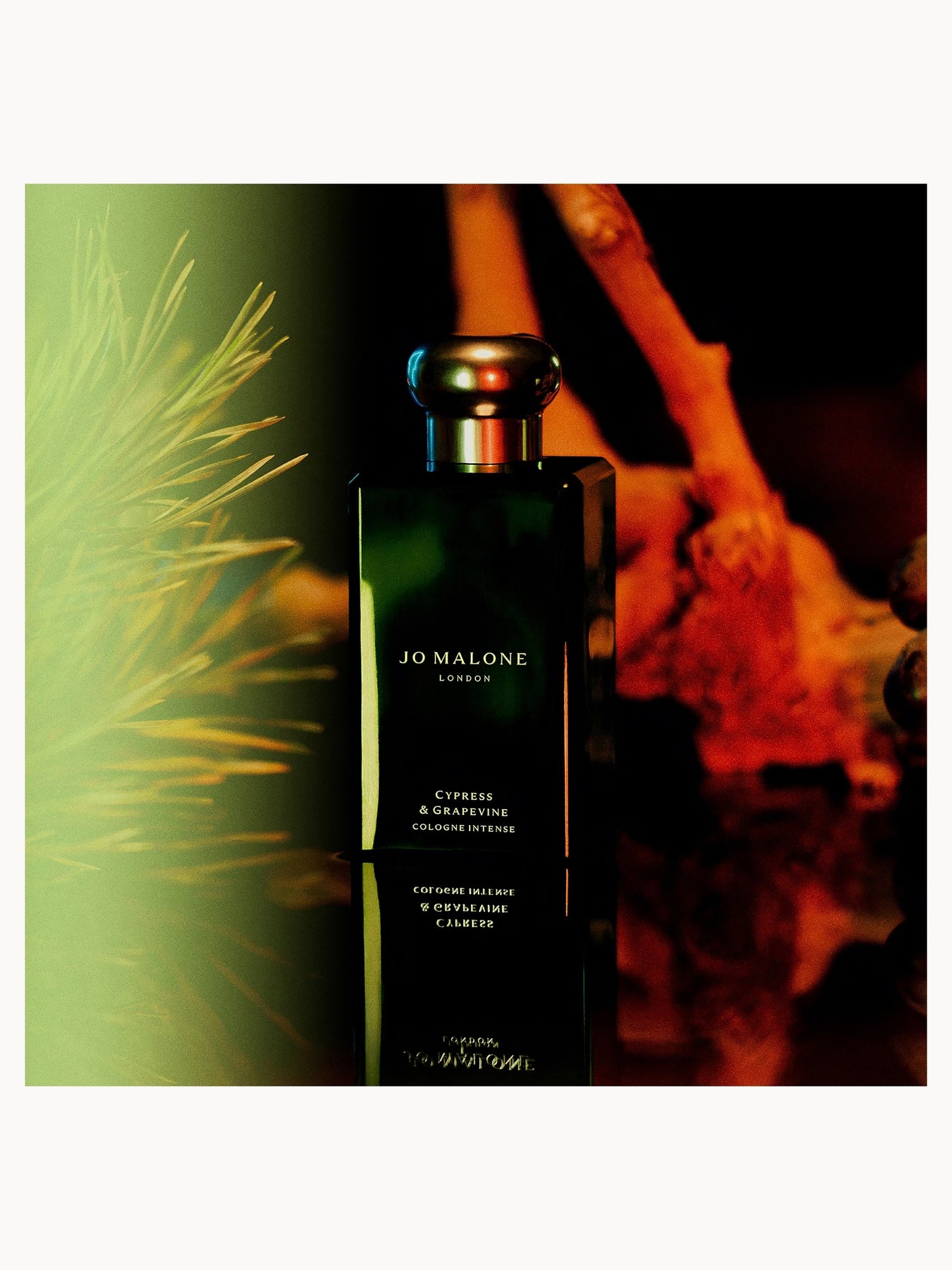Jo Malone London Cypress & Grapevine Cologne Intense 50ml