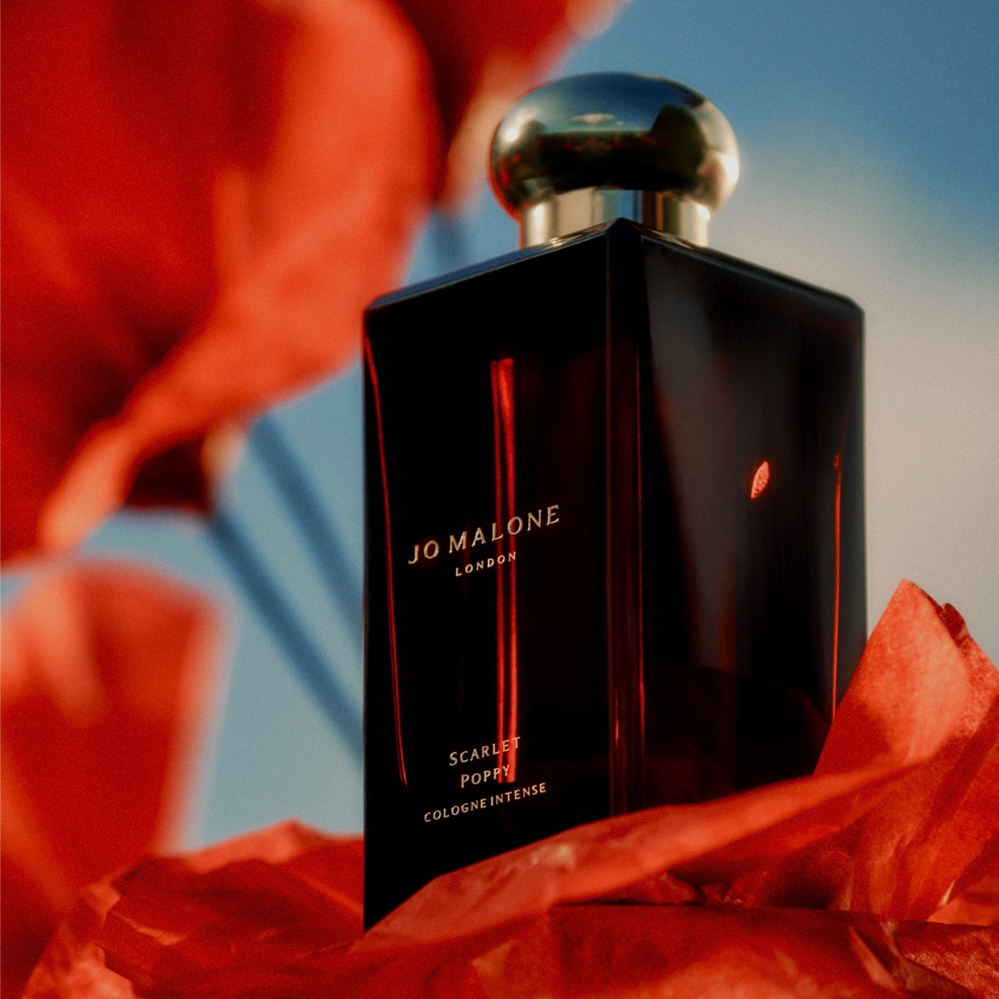 Jo Malone London Scarlet Poppy Cologne Intense 50ml | Cult Beauty