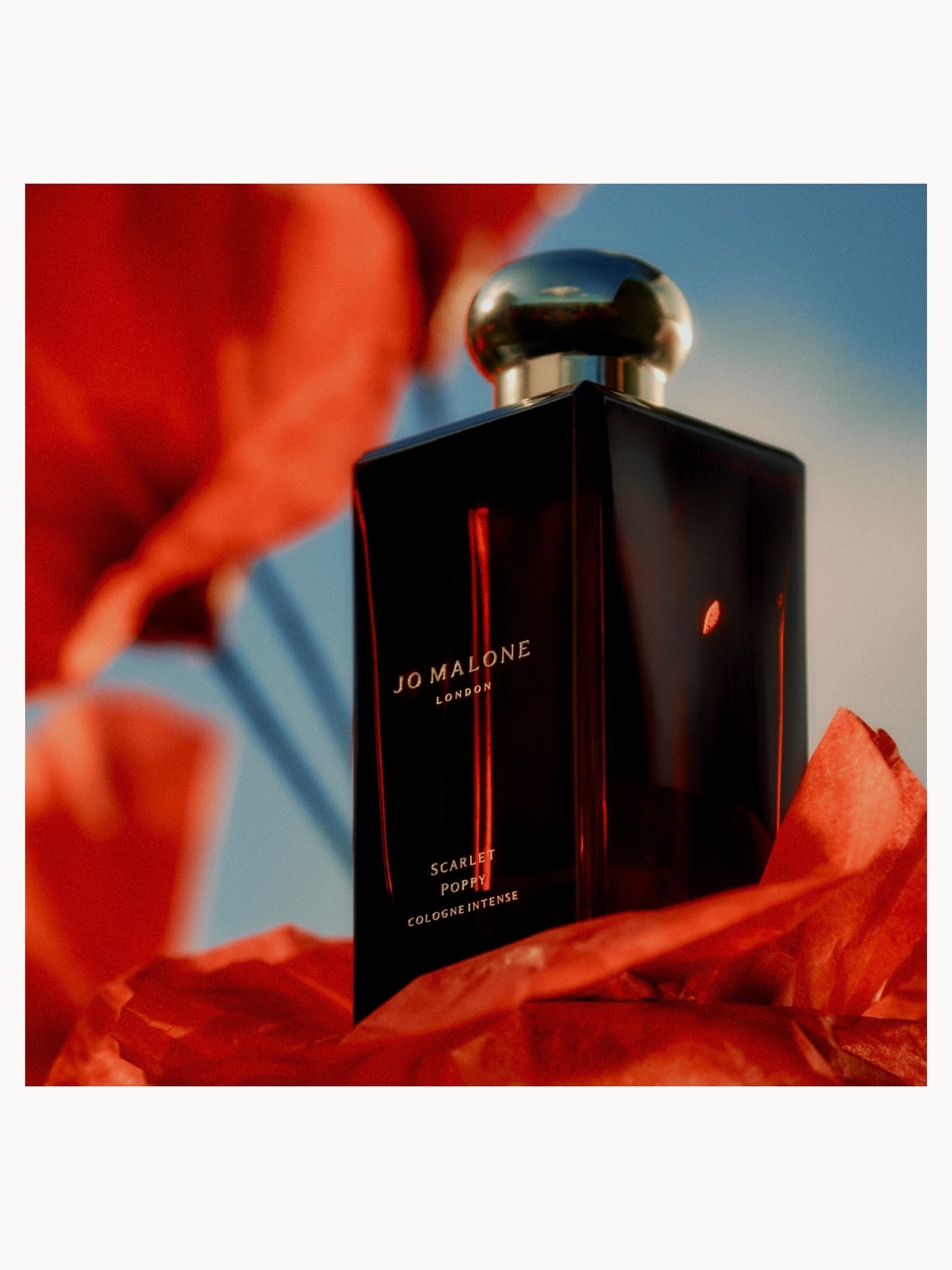 Jo Malone London Scarlet Poppy Cologne Intense 100ml | LOOKFANTASTIC