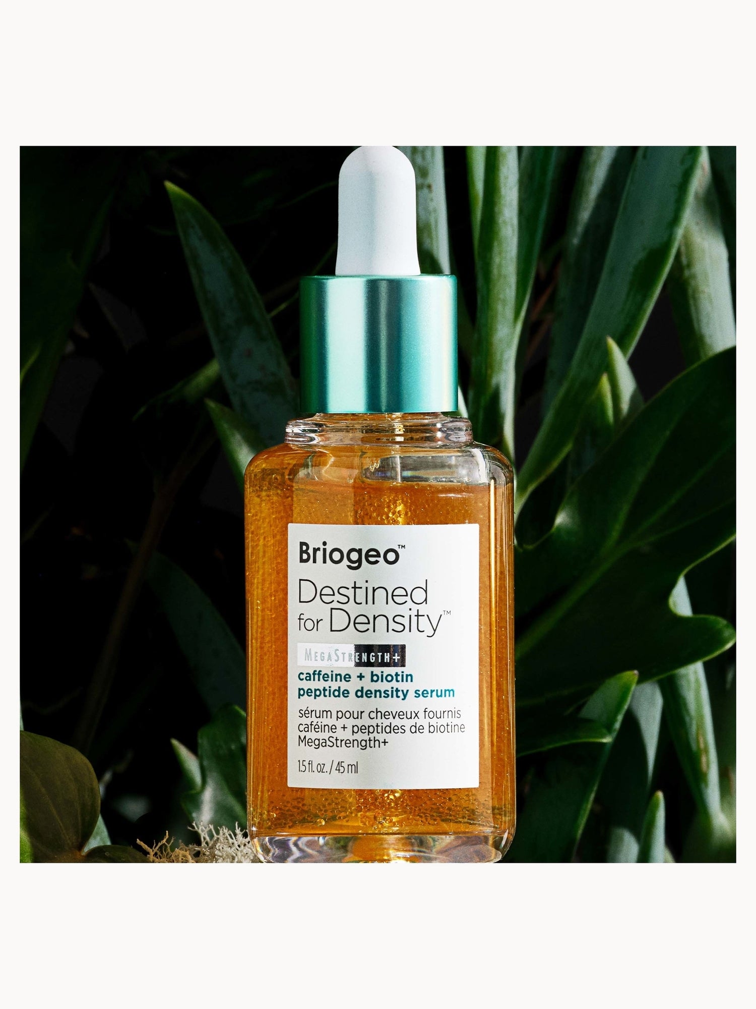 Briogeo Destined for Density MegaStrength+ Caffeine and Biotin
