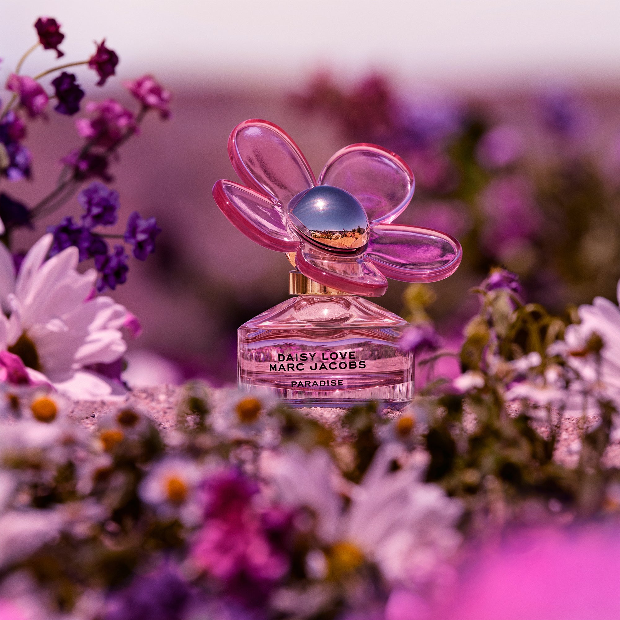 Marc Jacobs Limited Edition Daisy Love Paradise Eau de Toilette