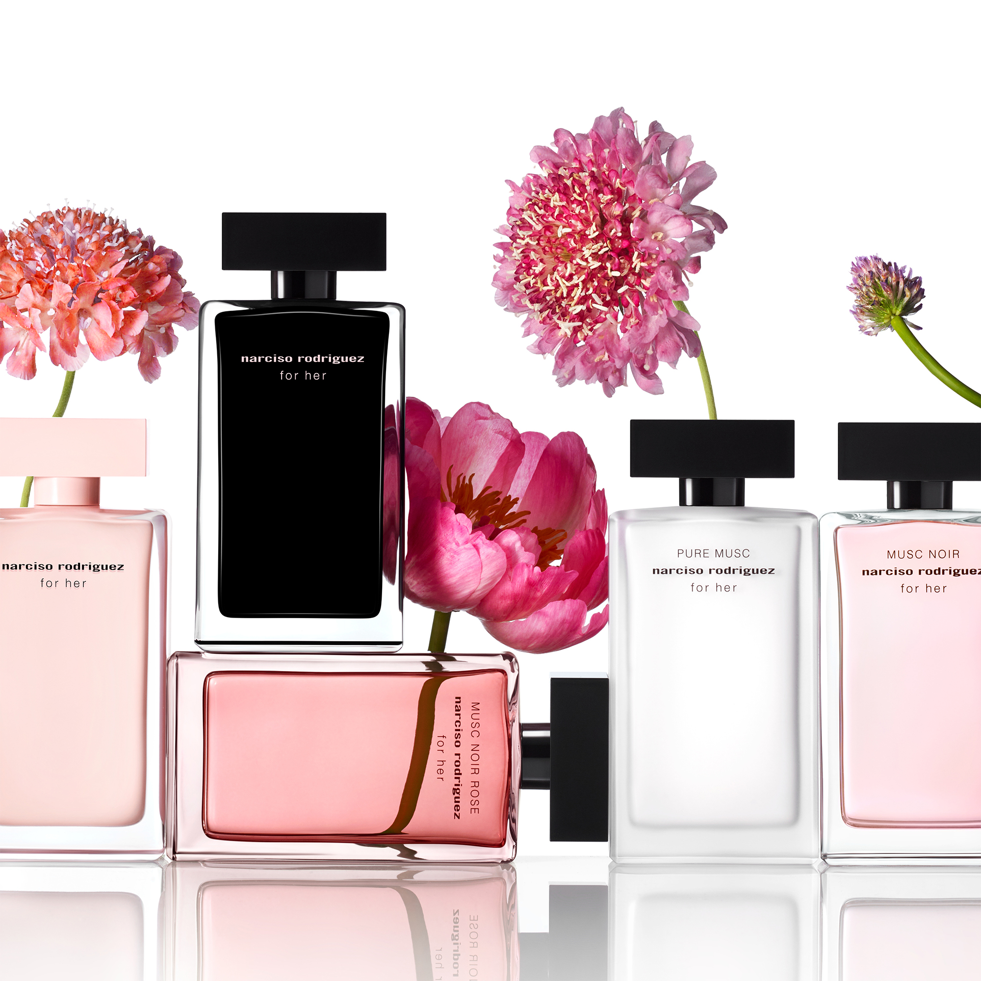 香水(女性用) Musc Noir Rose 50ml Narciso Rodriguez Amazon.com : Musc Noir Rose by Narciso Rodriguez for Women
