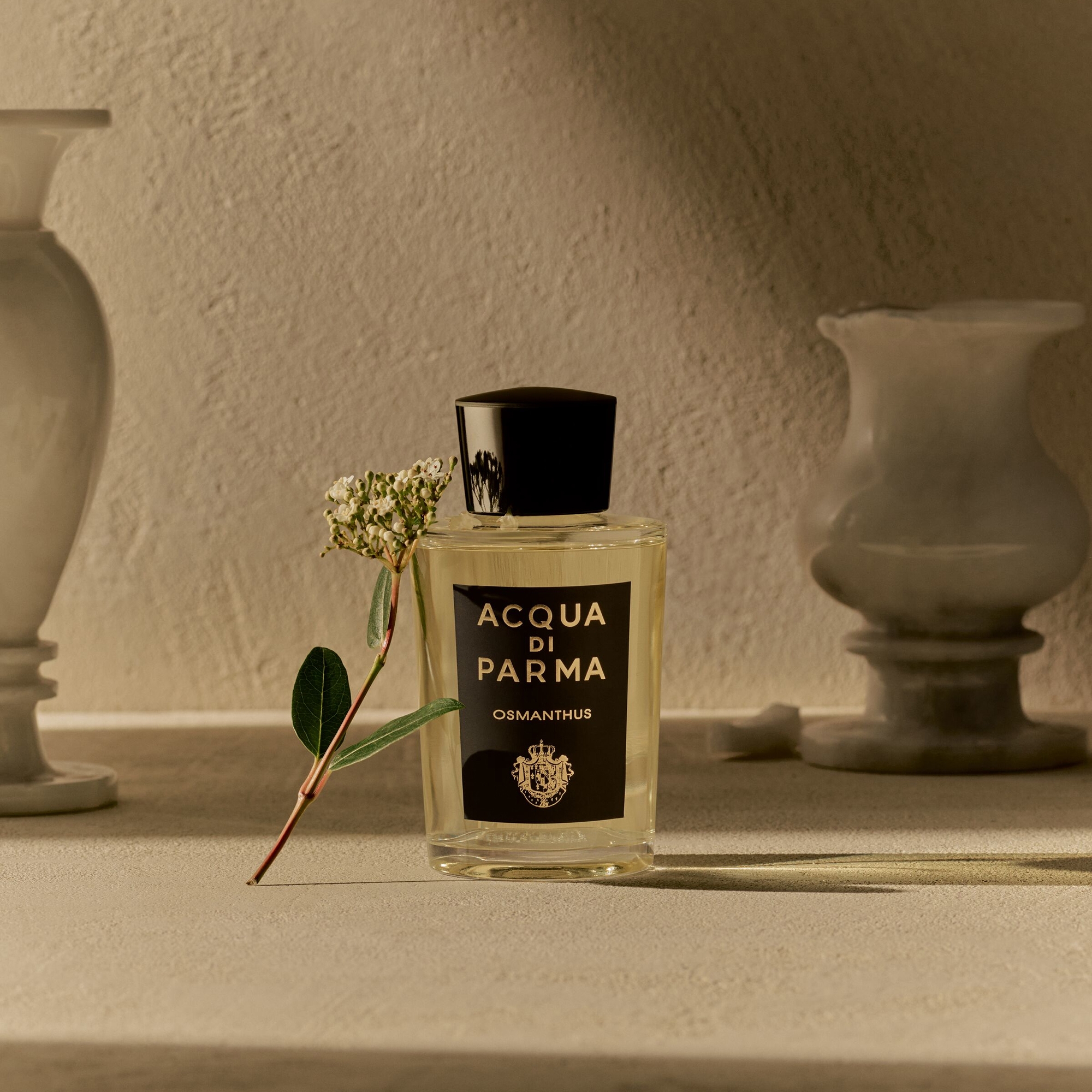 香水(ユニセックス) Acqua Di Parma Osmanthus (180ml) Osmanthus