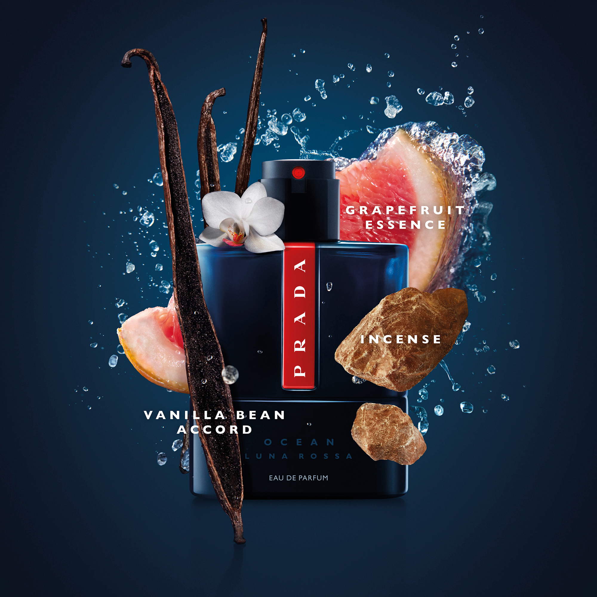 m*5様 PRADA LUNA ROSSA OCEAN 50ml 香水 Amazon.com : Prada Luna Rossa Ocean for Men - 5 oz EDP Spray