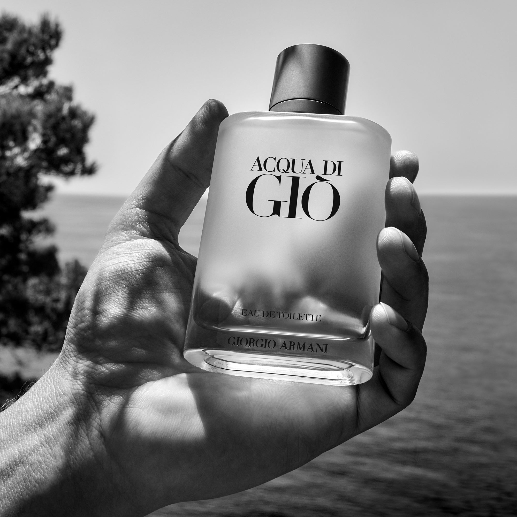 【新品未開封】ACQUA DI GIÒオードトワレ100ml 14595537-8055161559075766.jpg