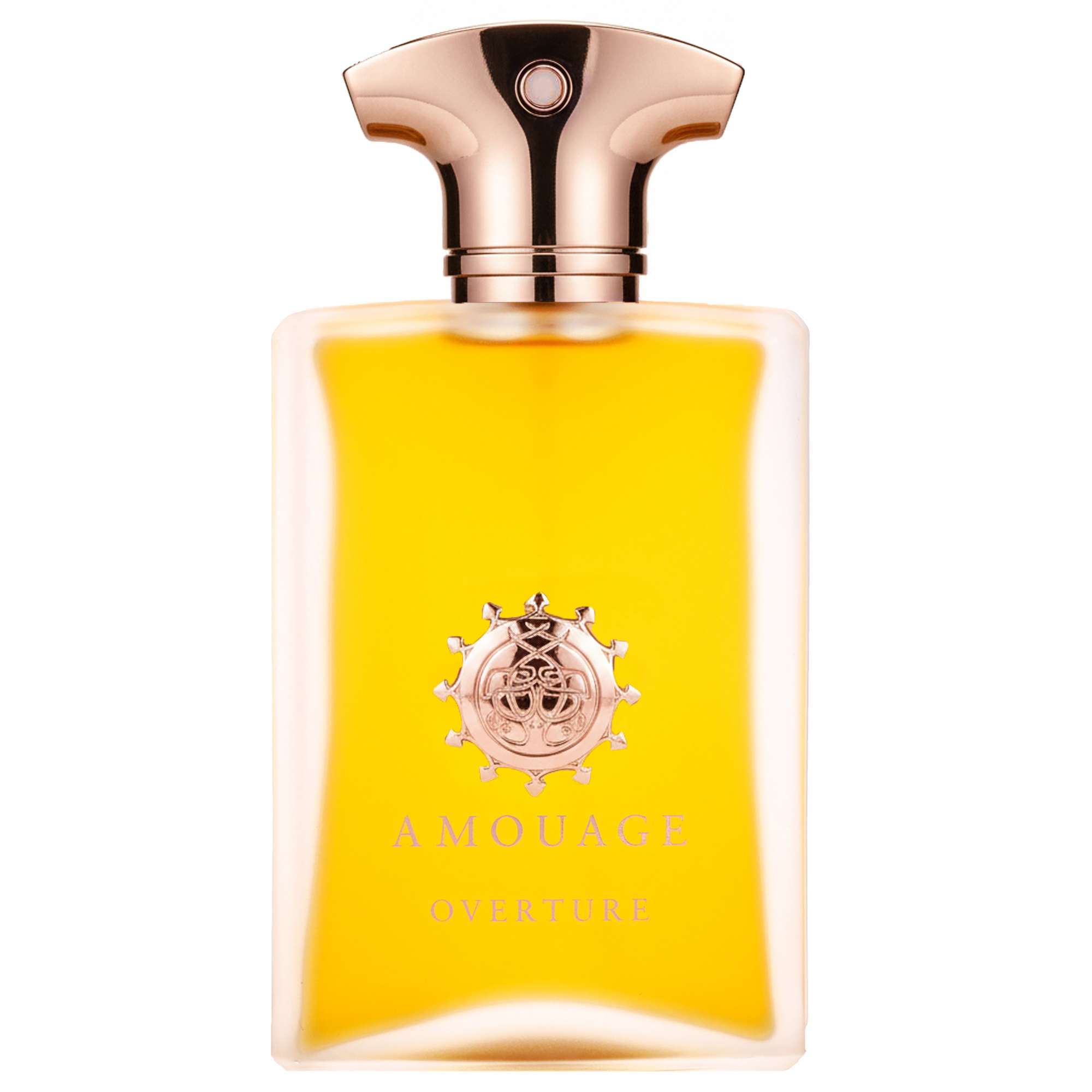 アムアージュ Amouage Overture Man 100ml 【公式通販】