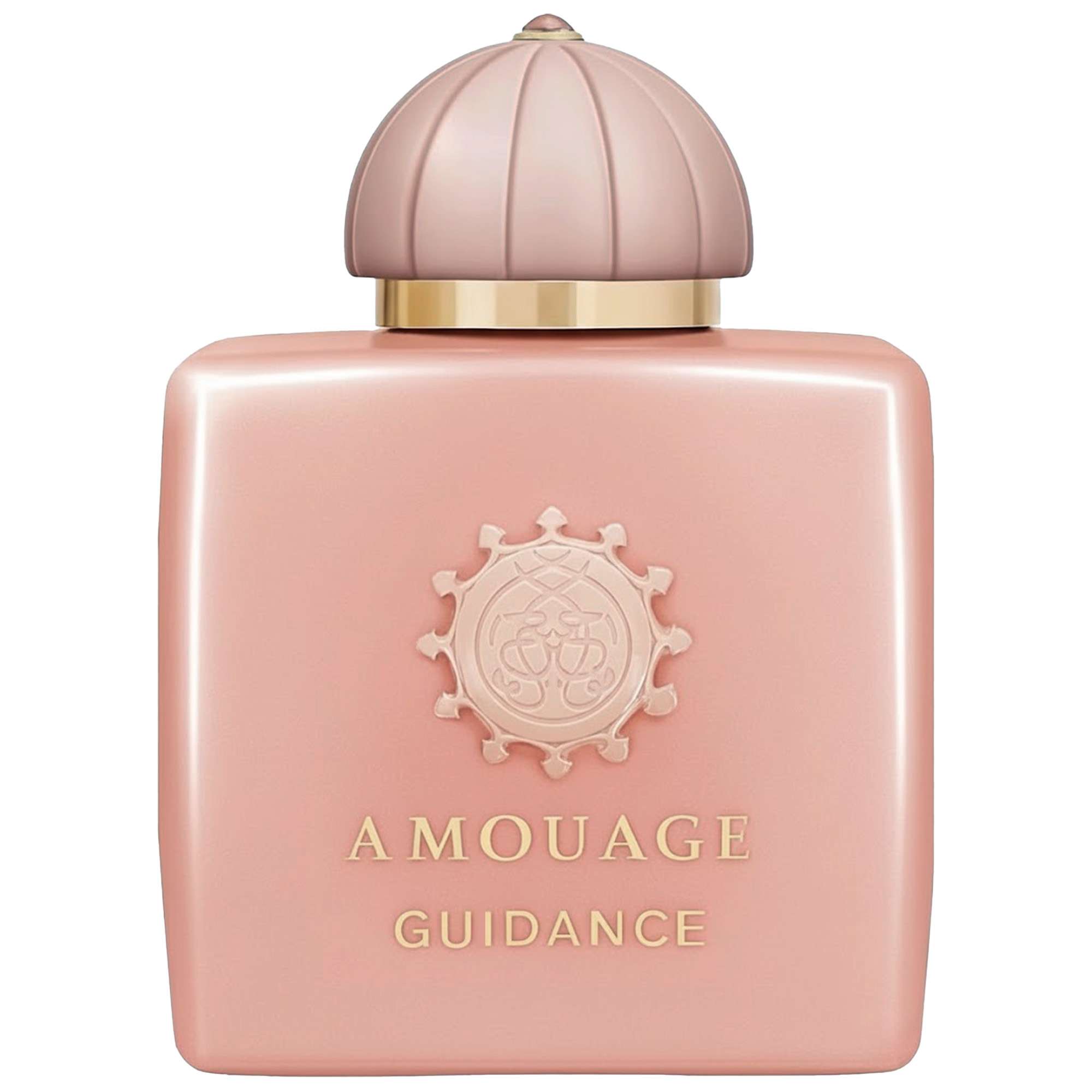 香水(女性用) AMOUAGE GUIDANCE Eau de Parfum 100ml Amouage Guidance Woman Eau de Parfum Spray 100ml | allbeauty
