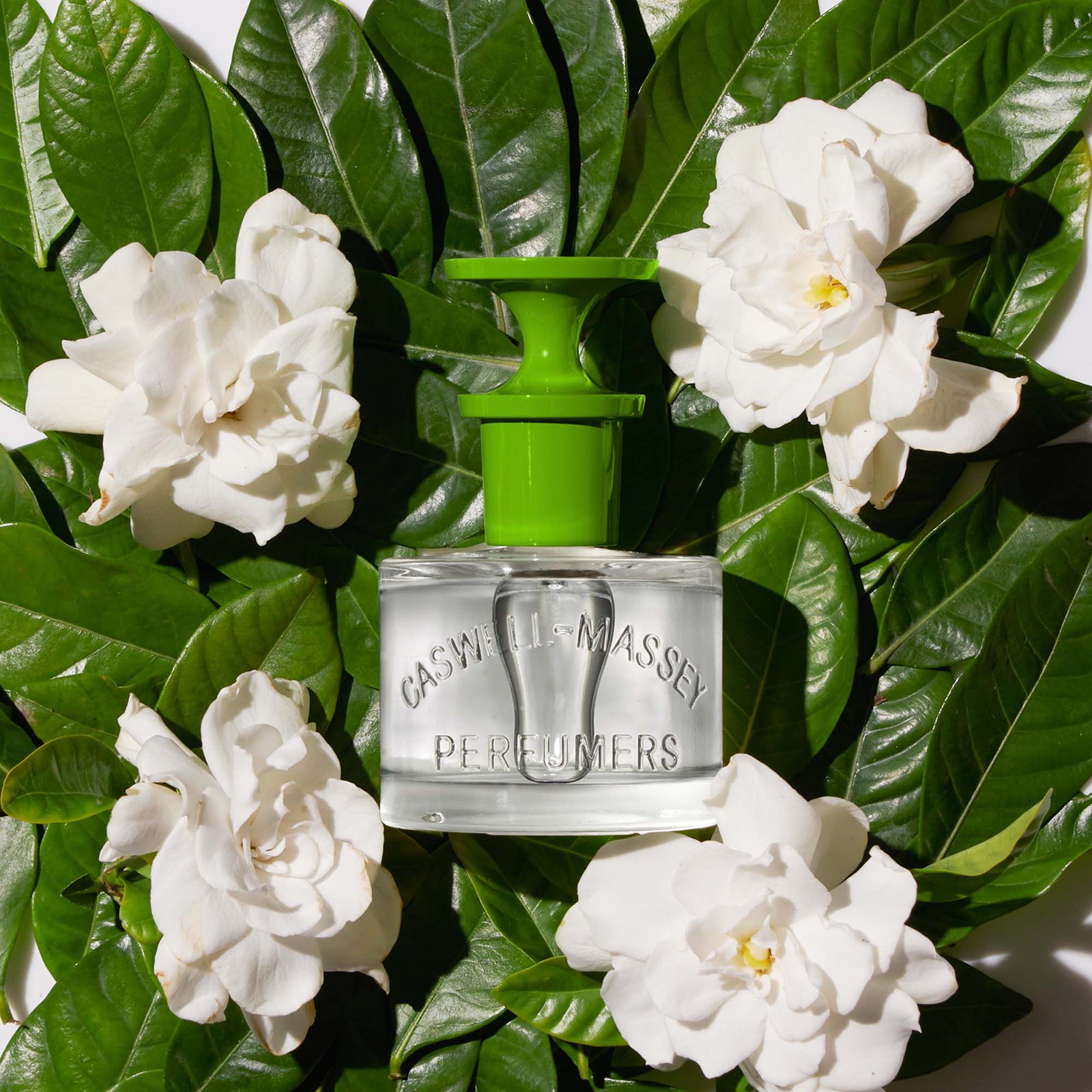 Caswell-Massey Gardenia Eau de Toilette 2 fl. oz | Dermstore