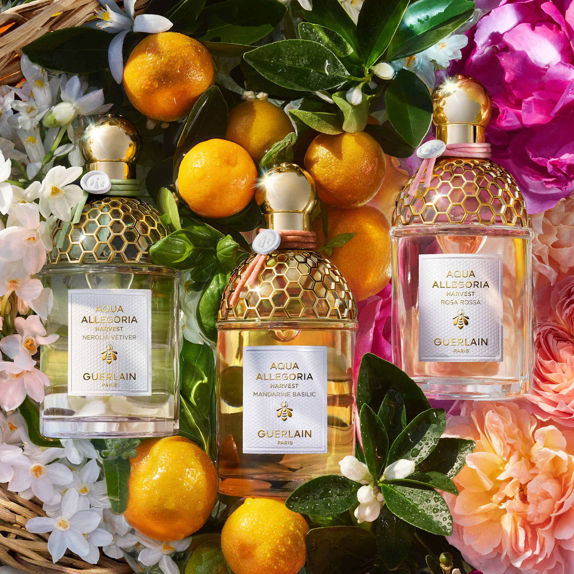 香水(ユニセックス) GUERLAIN HARVEST mandarine basilic 娇兰Guerlain推出Aqua Allegoria的Harvest限量版~ 新香水