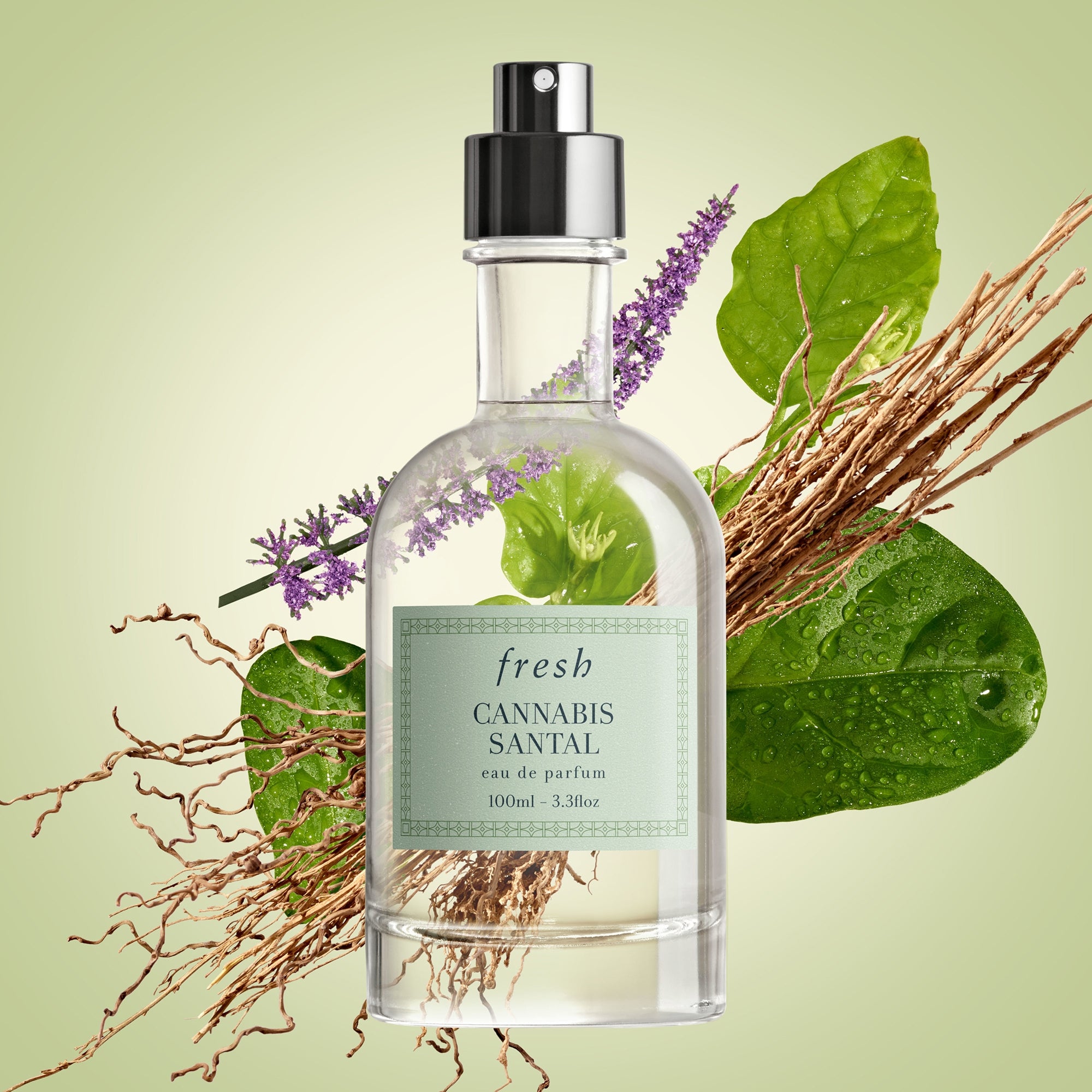 Fresh Cannabis Santal Eau de Parfum 100ml | Cult Beauty