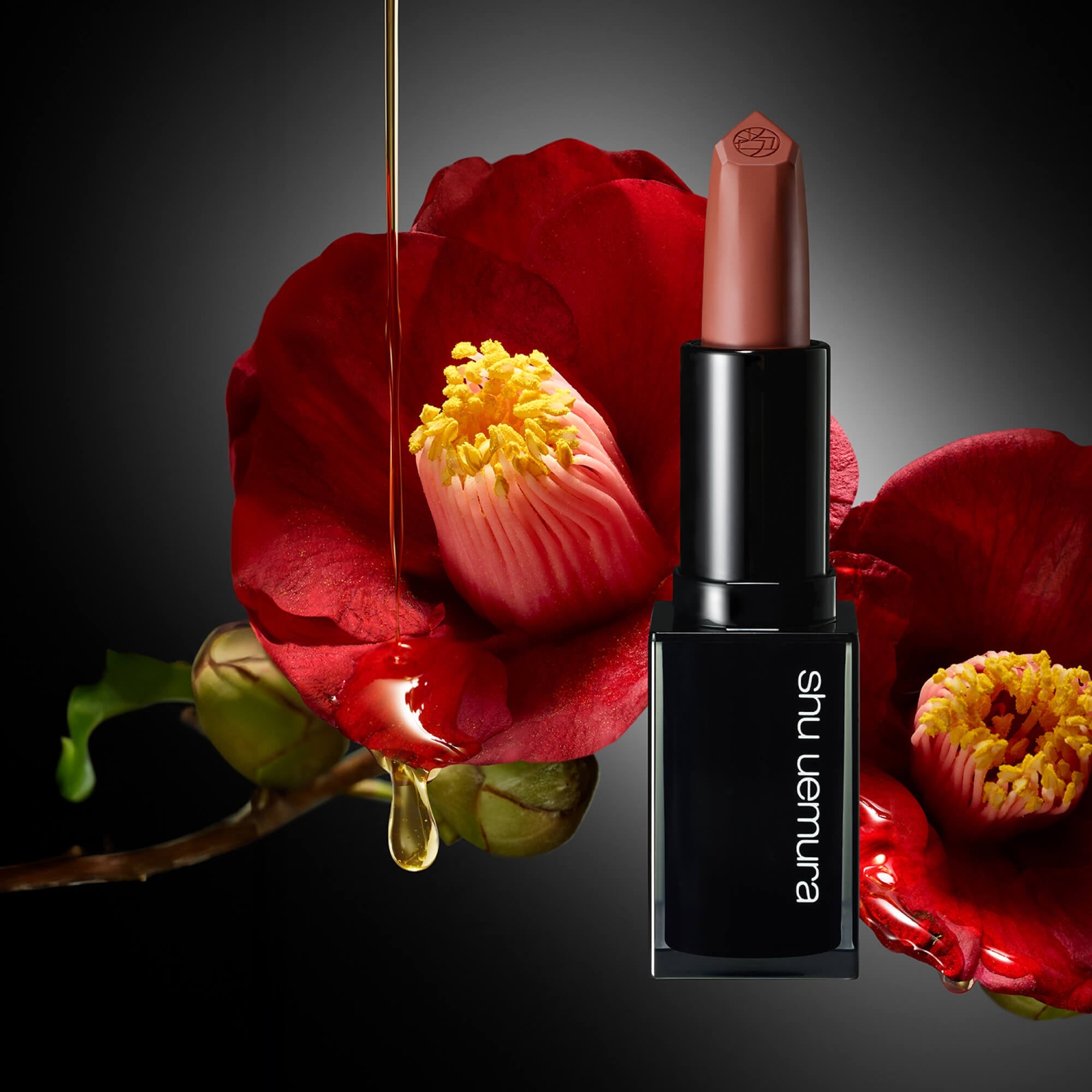 shu uemura 口紅セット 13色番多数 hanami glacé kinu care nudes lipstick | shu uemura ca