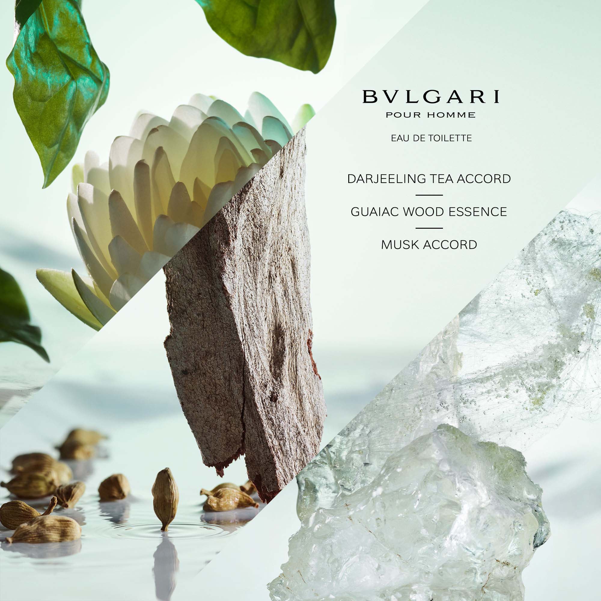 BVLGARI Pour Homme Eau de Toilette 50ml | LOOKFANTASTIC