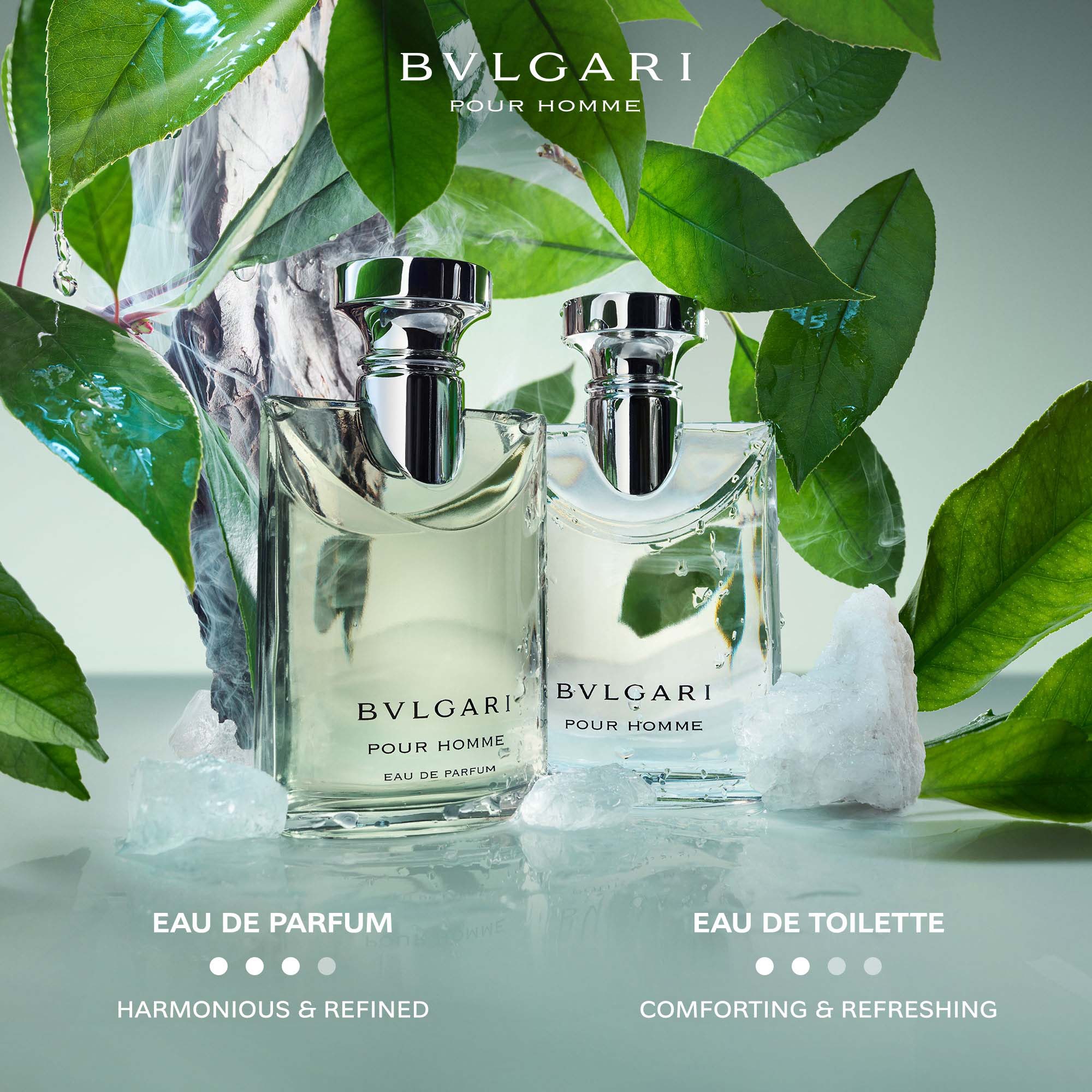 香水(男性用) BVLGARI Pour Homme 50ml Eau de Parfum Bvlgari Pour Homme Men's Fragrance | Bvlgari Official Store