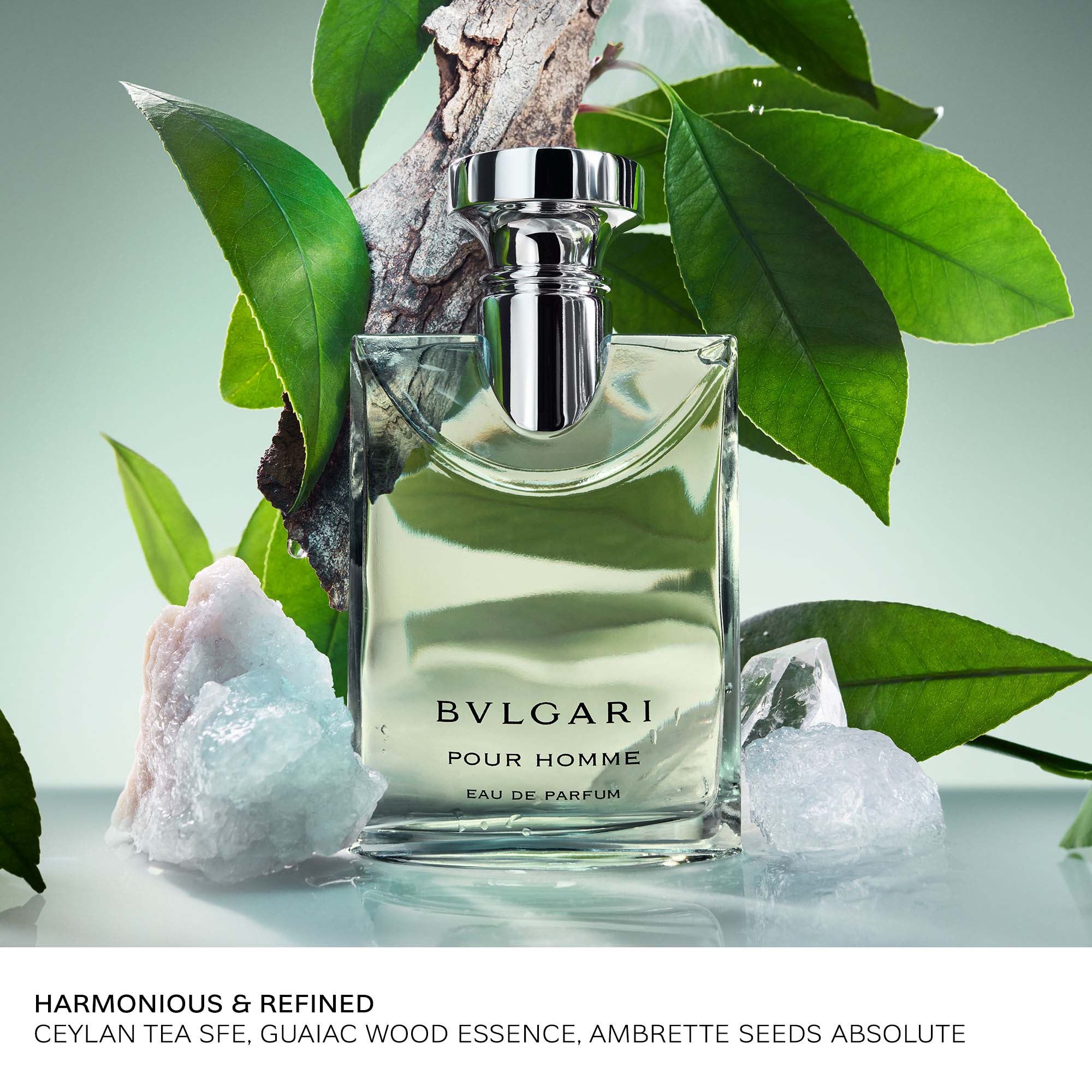 BVLGARI Pour Homme Eau de Parfum 50ml | LOOKFANTASTIC