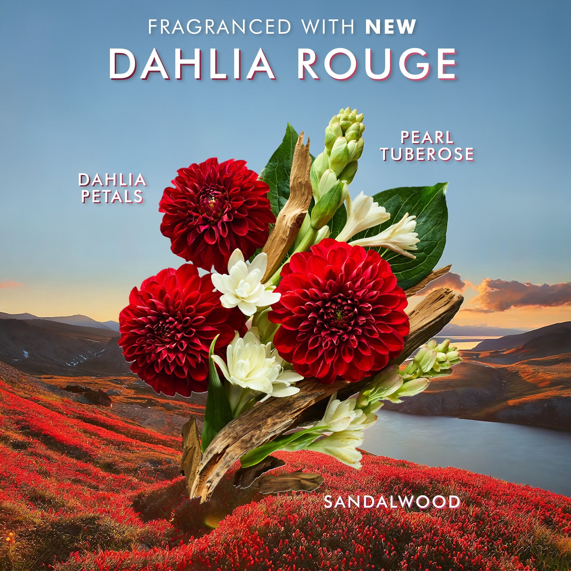Moroccanoil Hand Cream Dahlia Rouge 3.4 oz | Dermstore