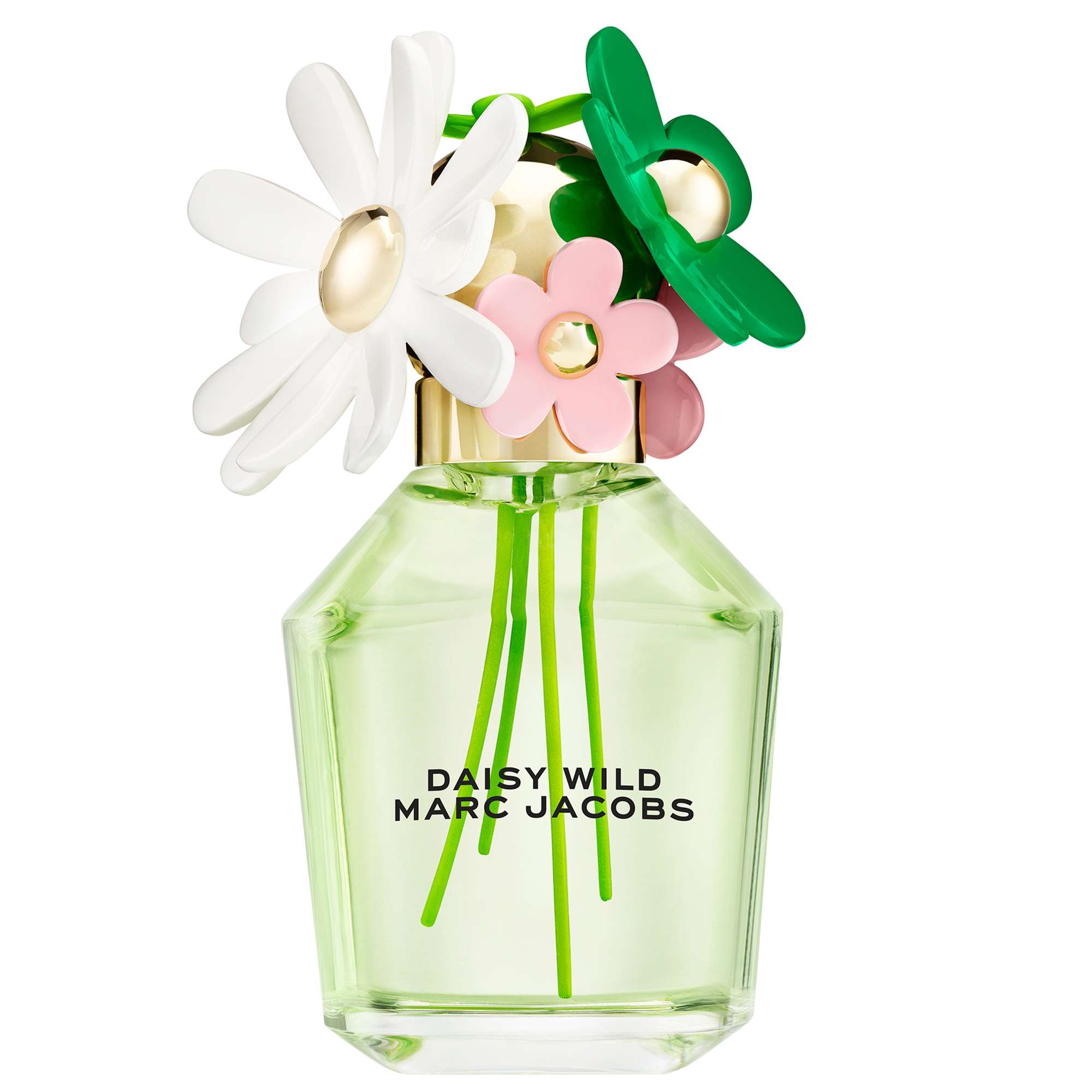 Marc Jacobs Daisy Wild Eau de Parfum 100ml | allbeauty