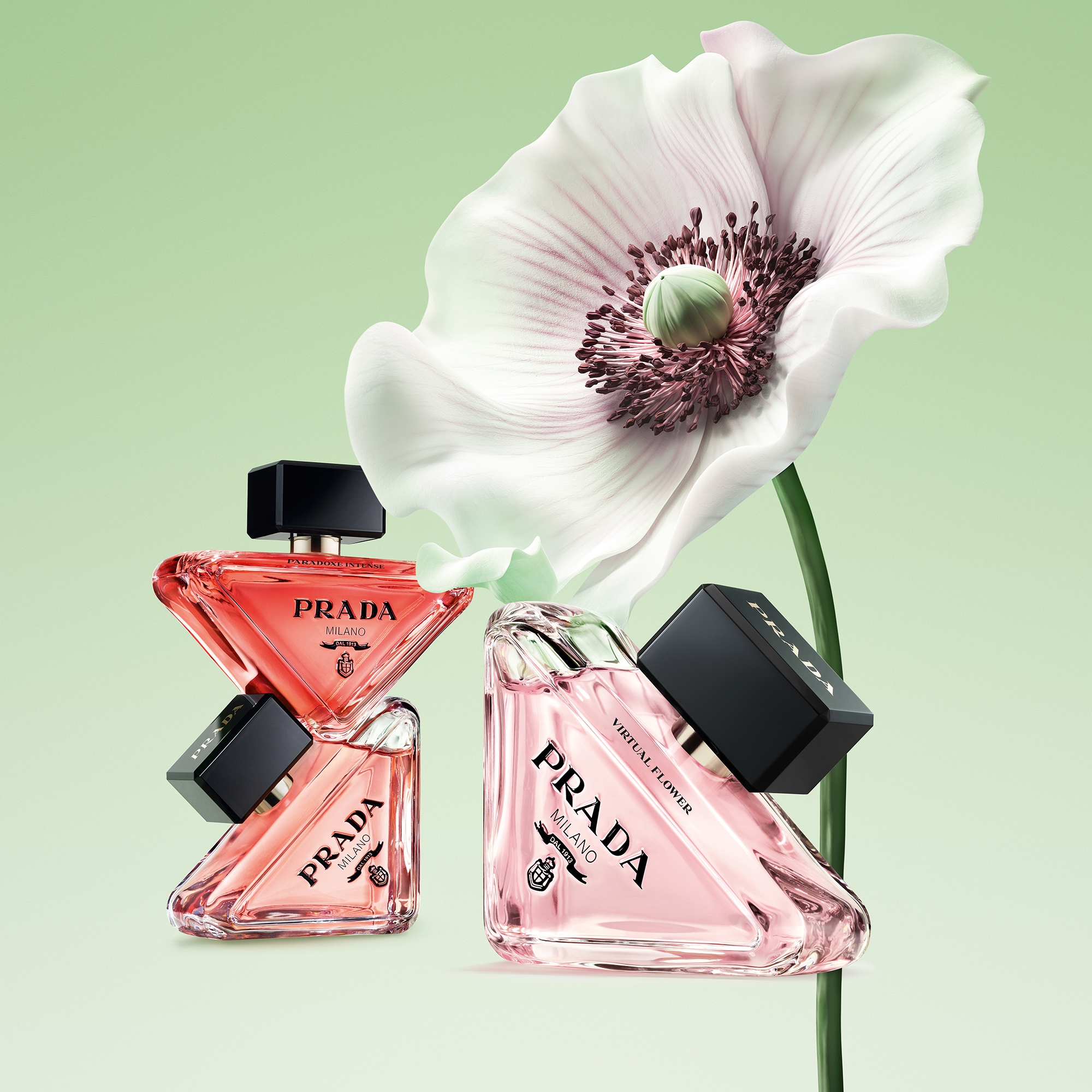 Prada Paradoxe Virtual Flower EDP プラダ Prada Paradoxe Virtual Flower Eau de Parfum 50ml | LOOKFANTASTIC