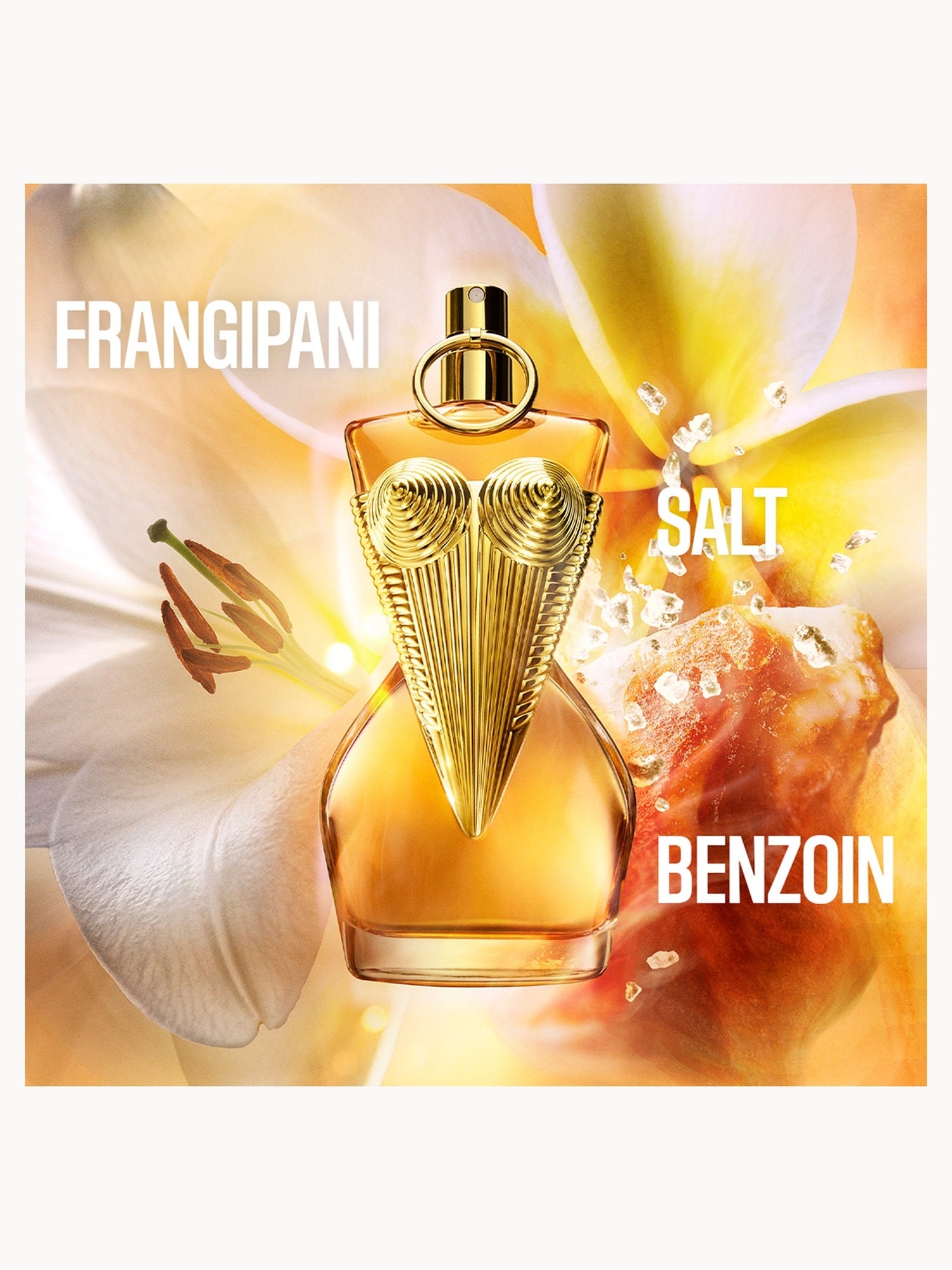 Jean Paul Gaultier Divine Eau de Parfum Intense 30ml | LOOKFANTASTIC