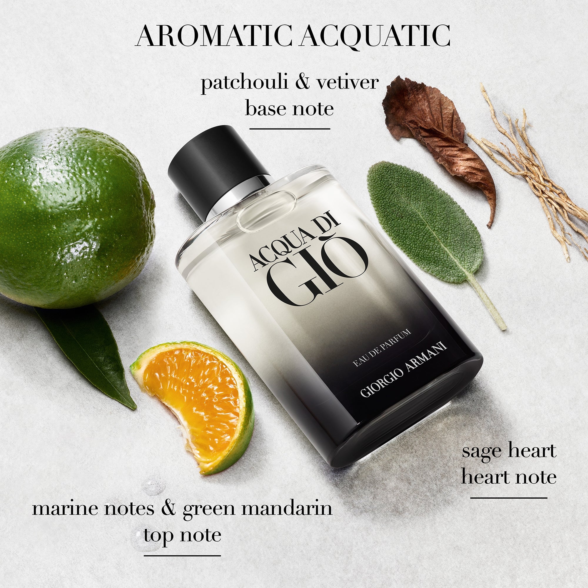 Armani Acqua Di Gio Homme Eau de Parfum 100ml | LOOKFANTASTIC