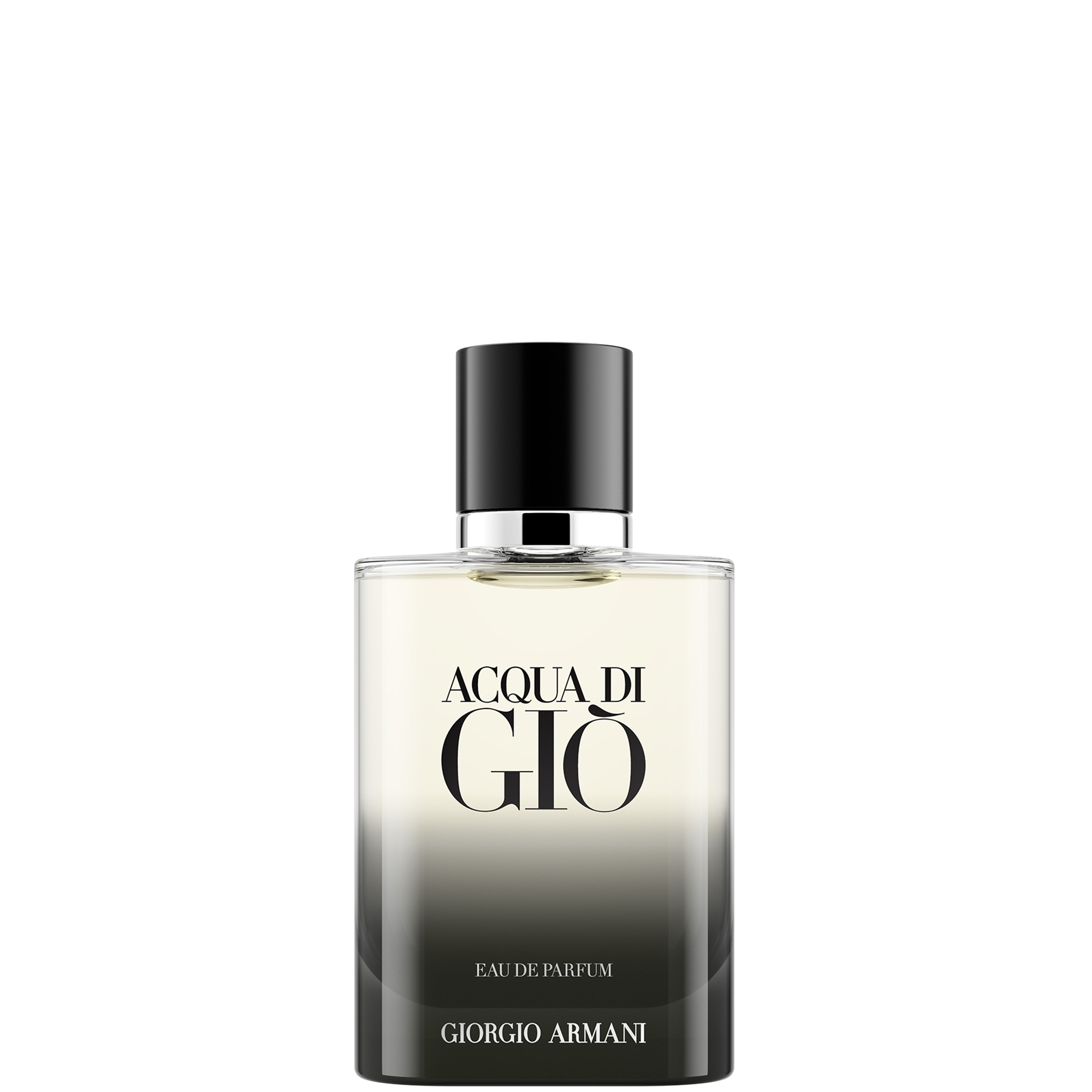 Armani Acqua Di Gio Homme Eau de Parfum 100ml | LOOKFANTASTIC